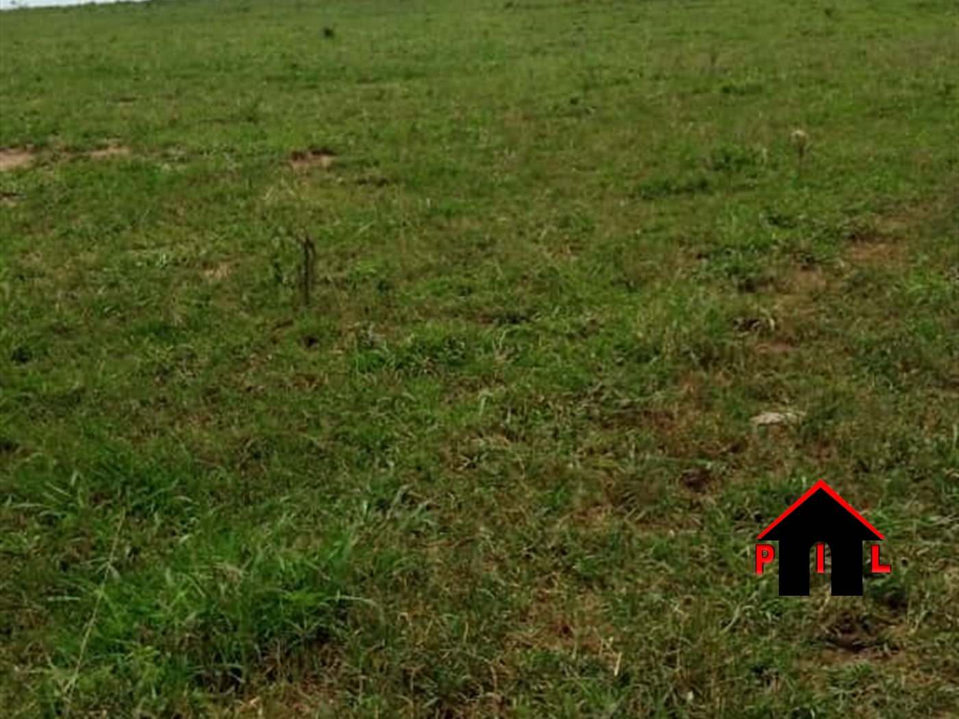 Agricultural Land for sale in Wabitungulu Luweero