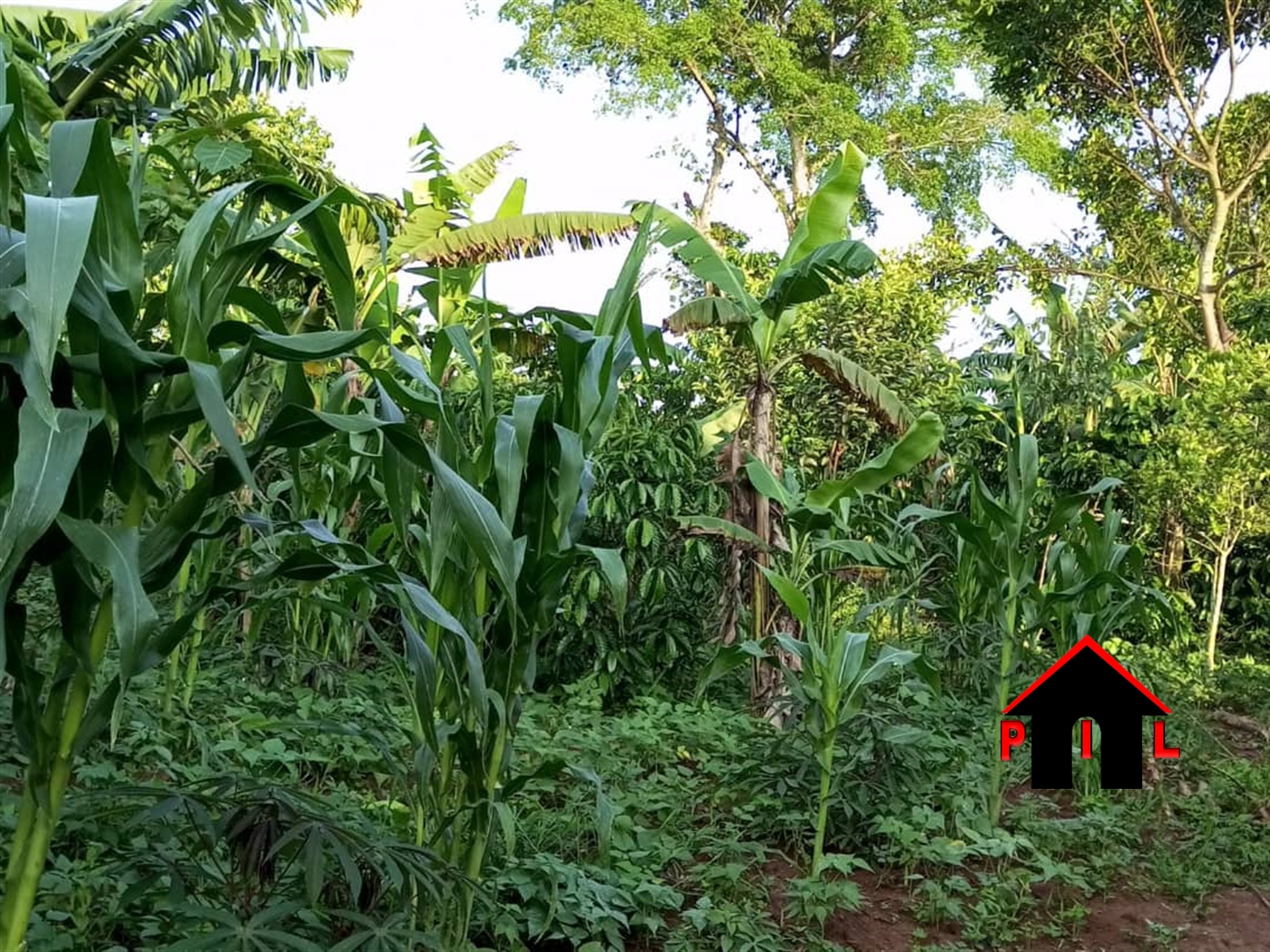 Commercial Land for sale in Kiteezi Wakiso