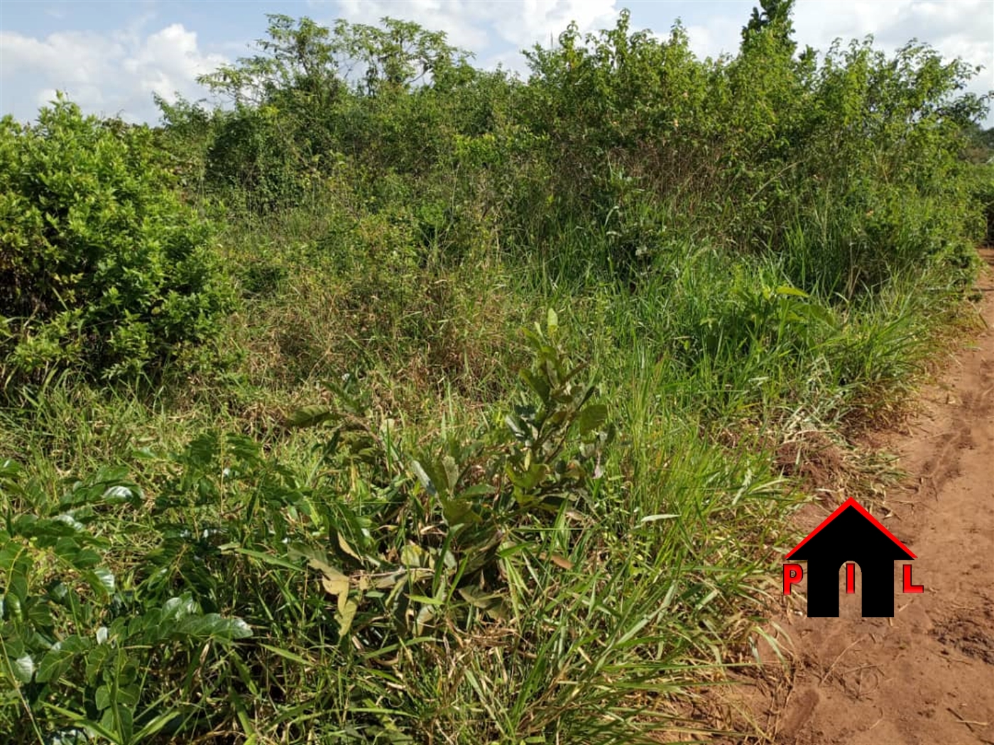 Agricultural Land for sale in Busiika Luweero