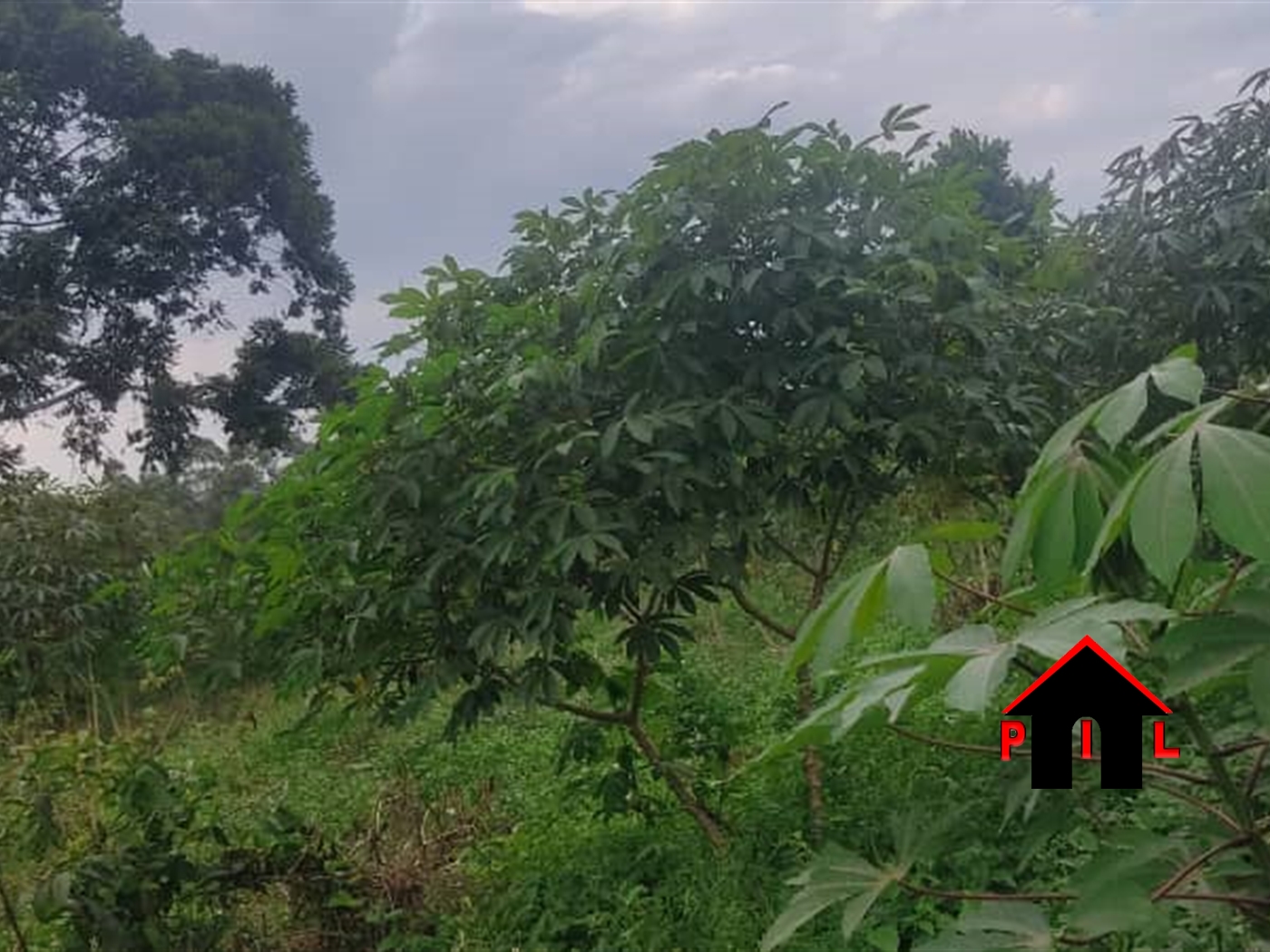 Agricultural Land for sale in Kalagala Luweero