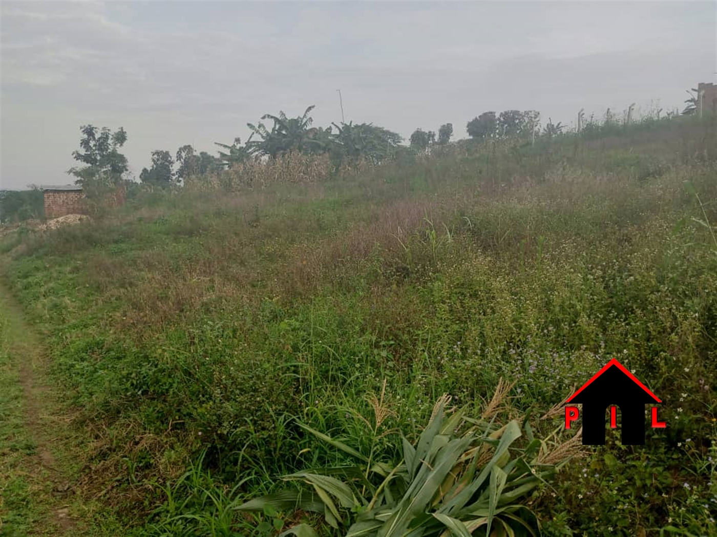 Residential Land for sale in Buyego Luweero