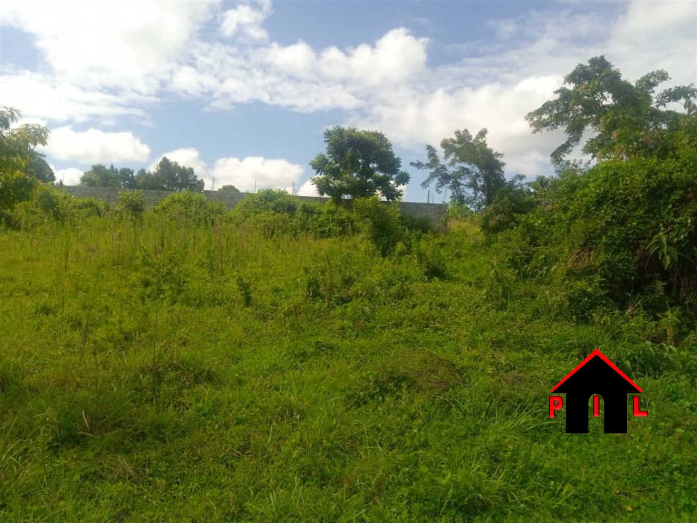 Agricultural Land for sale in Kitoba Hoima