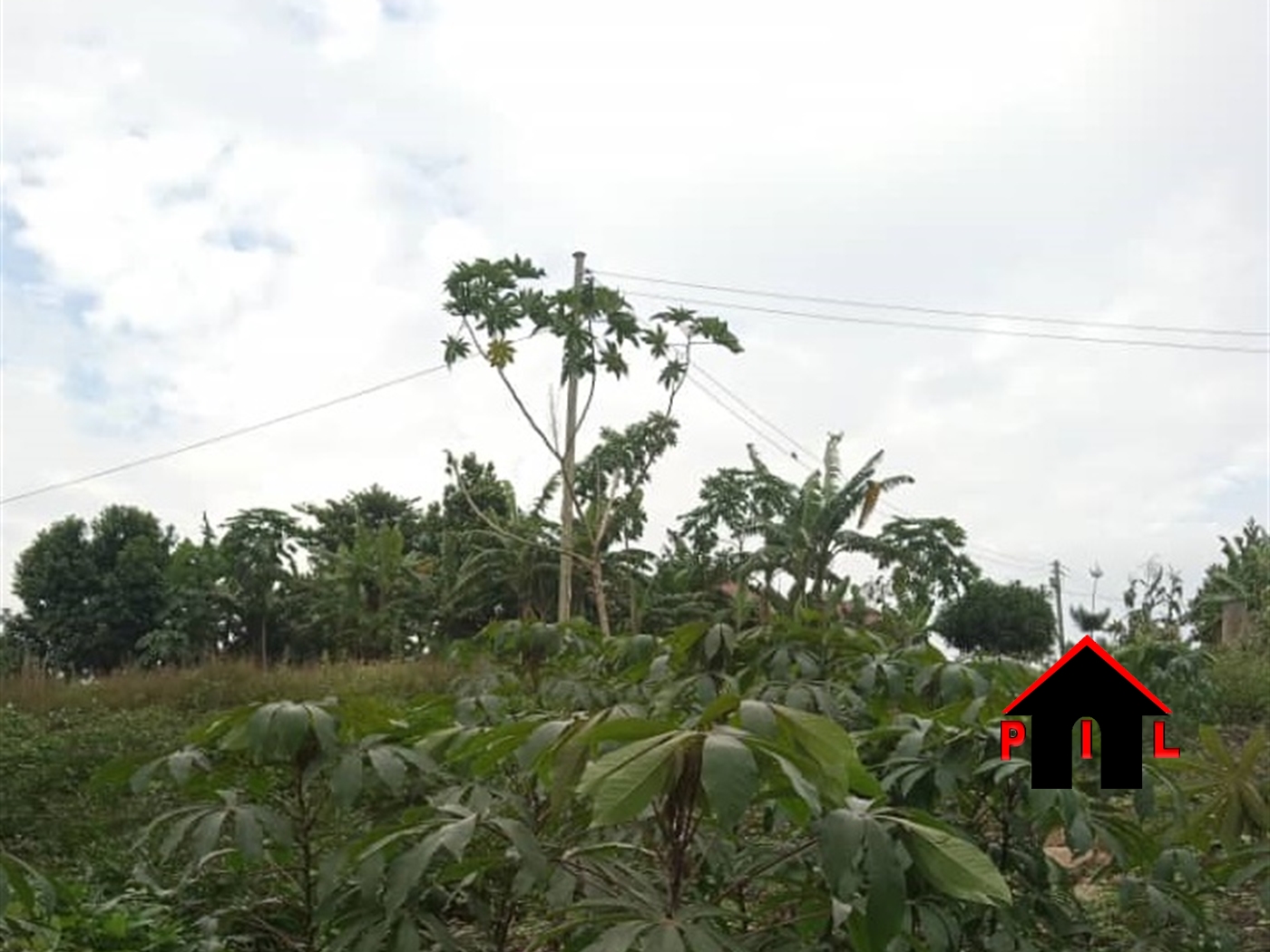 Agricultural Land for sale in Kikyuusa Luweero