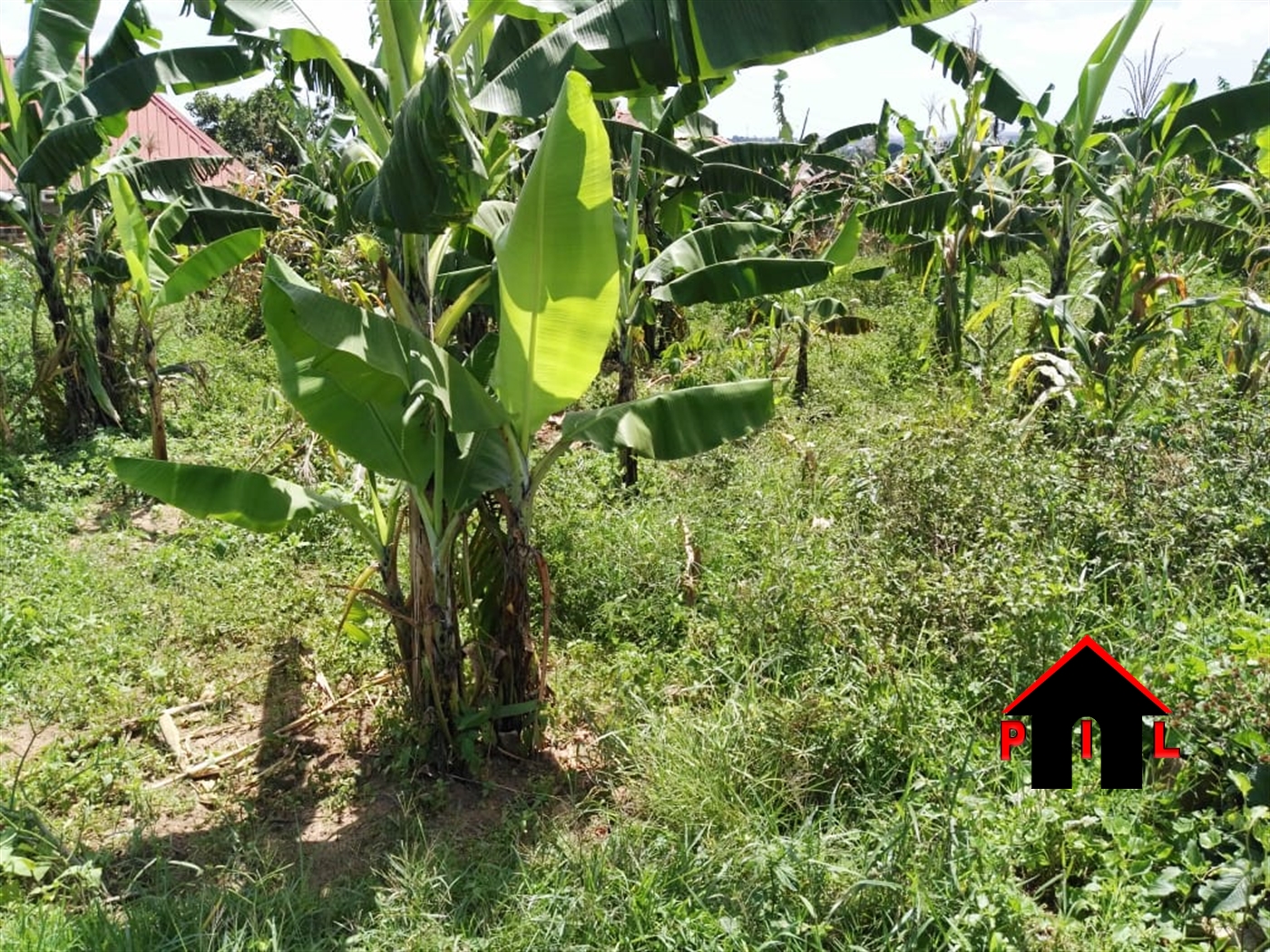 Residential Land for sale in Maya Wakiso