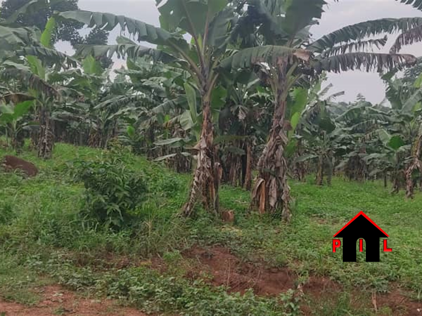 Commercial Land for sale in Kira Wakiso