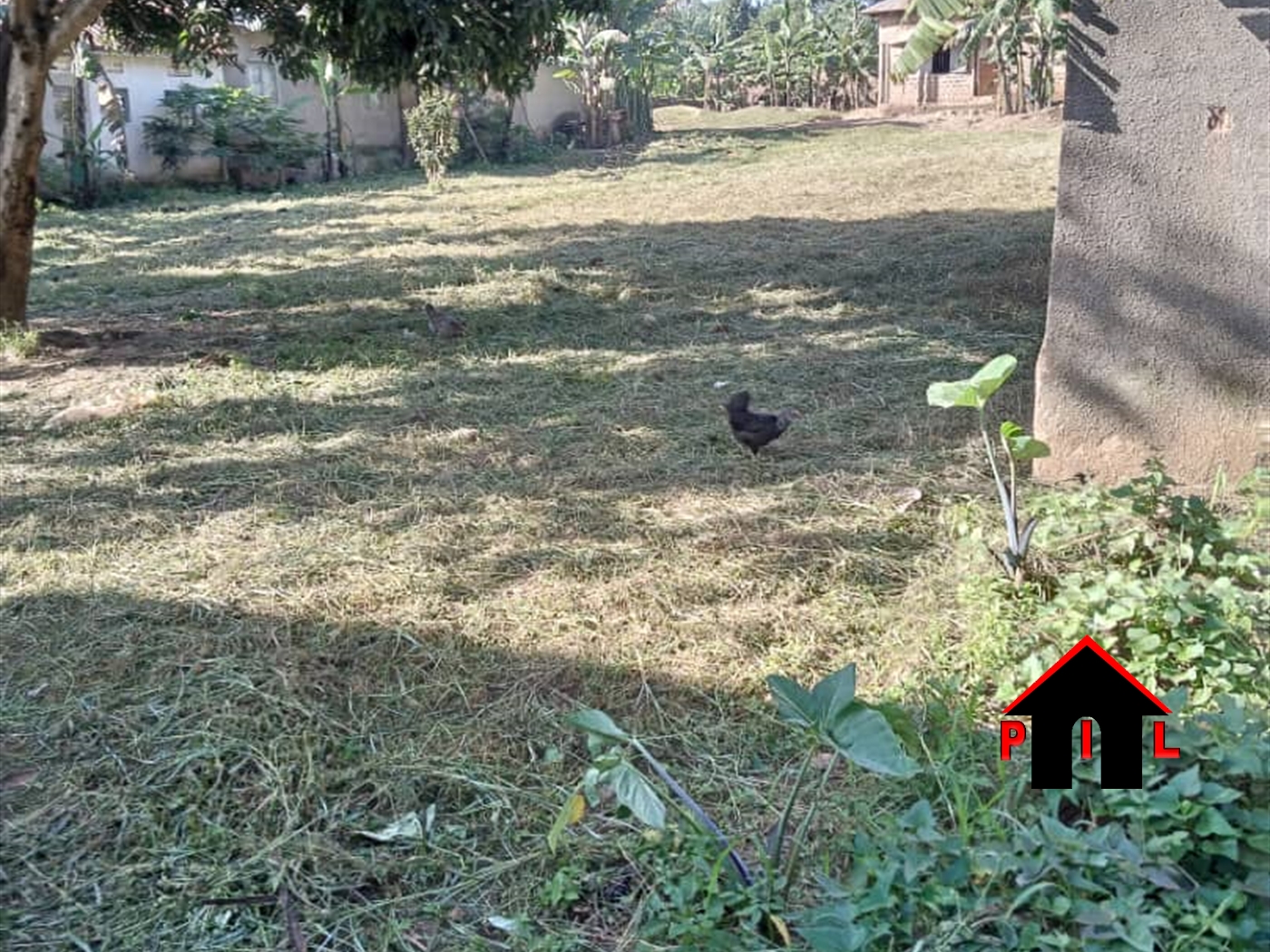 Residential Land for sale in Ttula Kampala