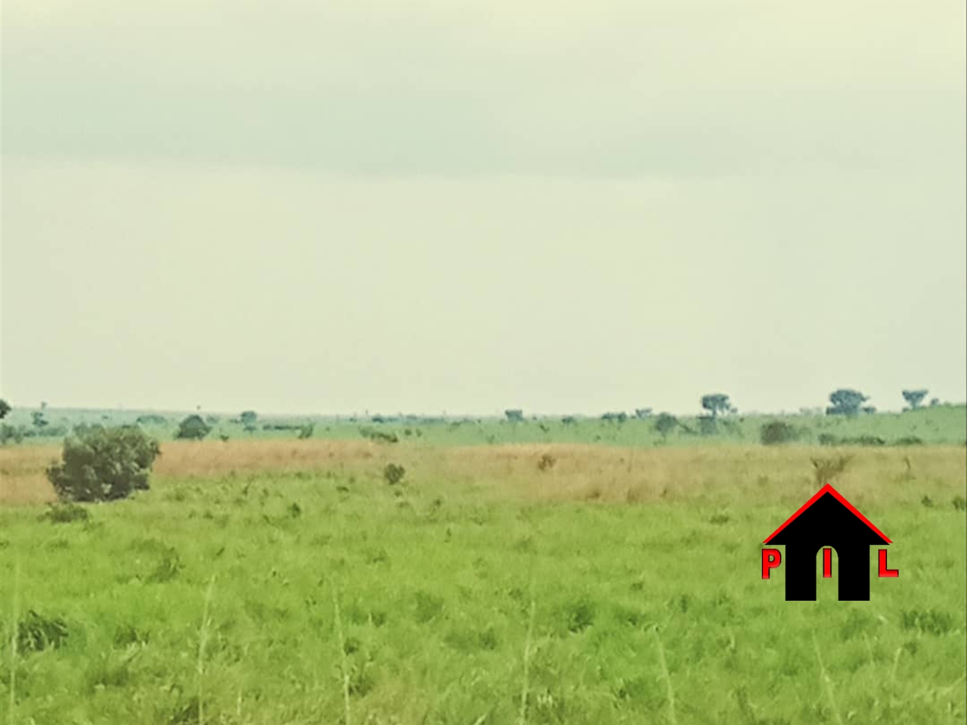 Agricultural Land for sale in Abera Amuru