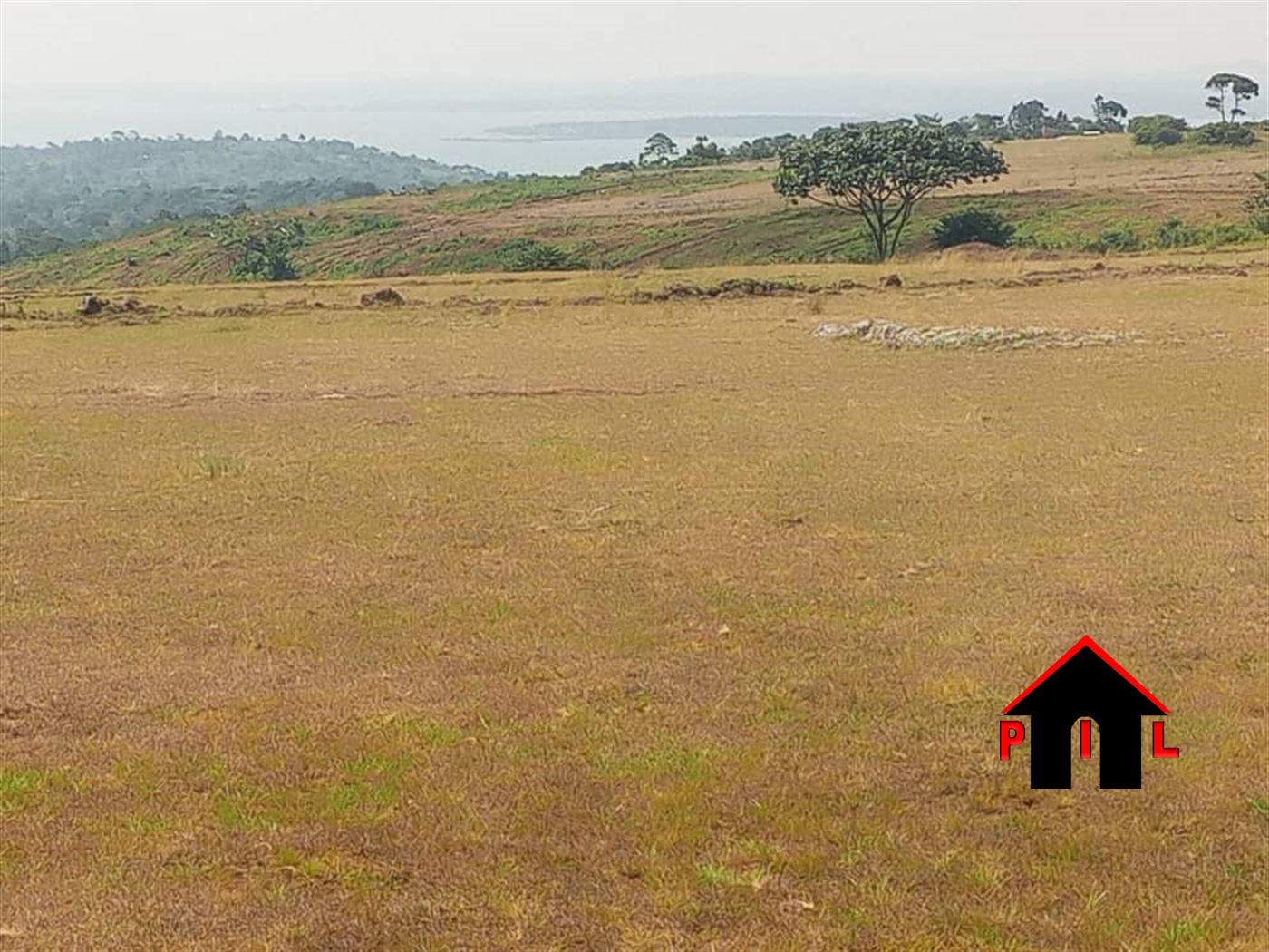 Residential Land for sale in Nkokonjeru Buyikwe