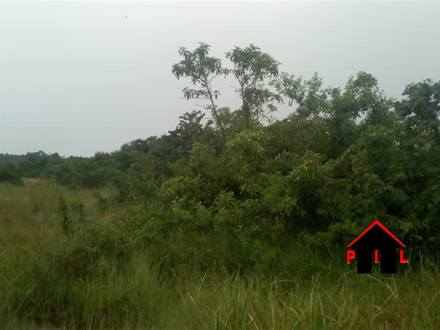 Farm for sale in Kakooge Nakasongola