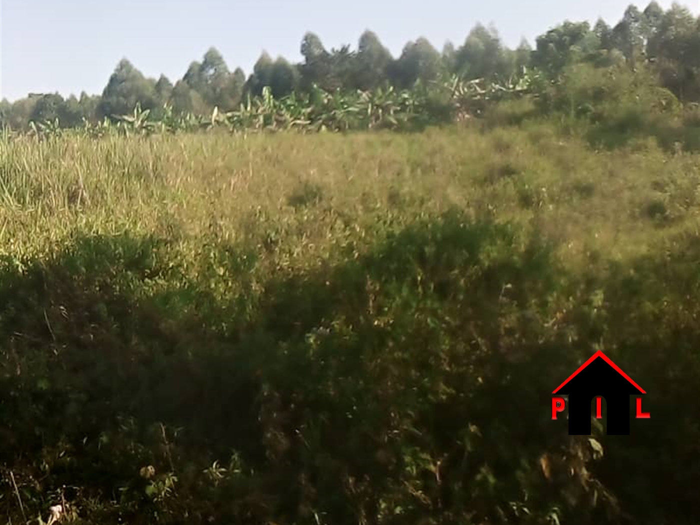 Agricultural Land for sale in Kakooge Nakasongola