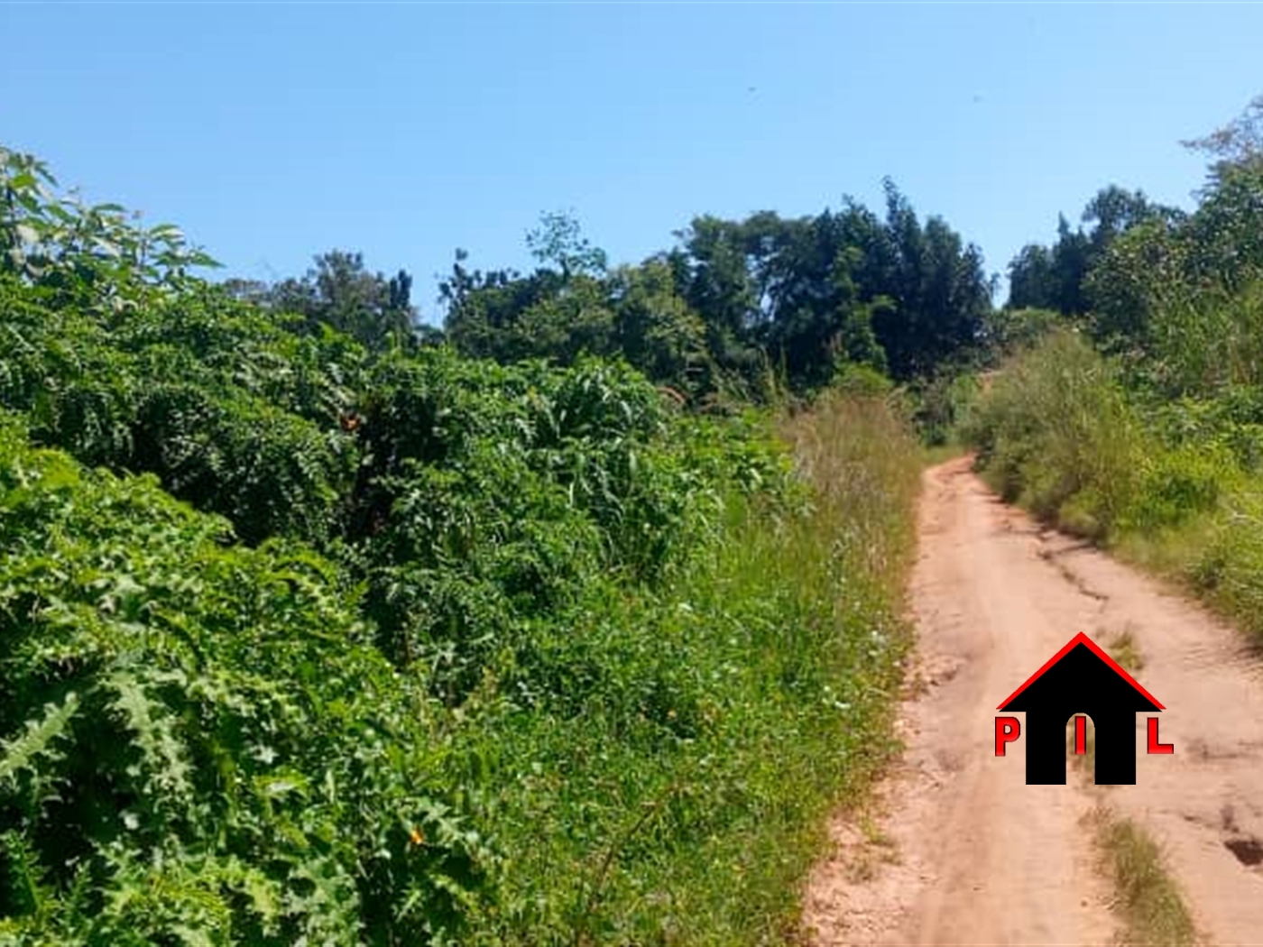 Commercial Land for sale in Kabembe Mukono