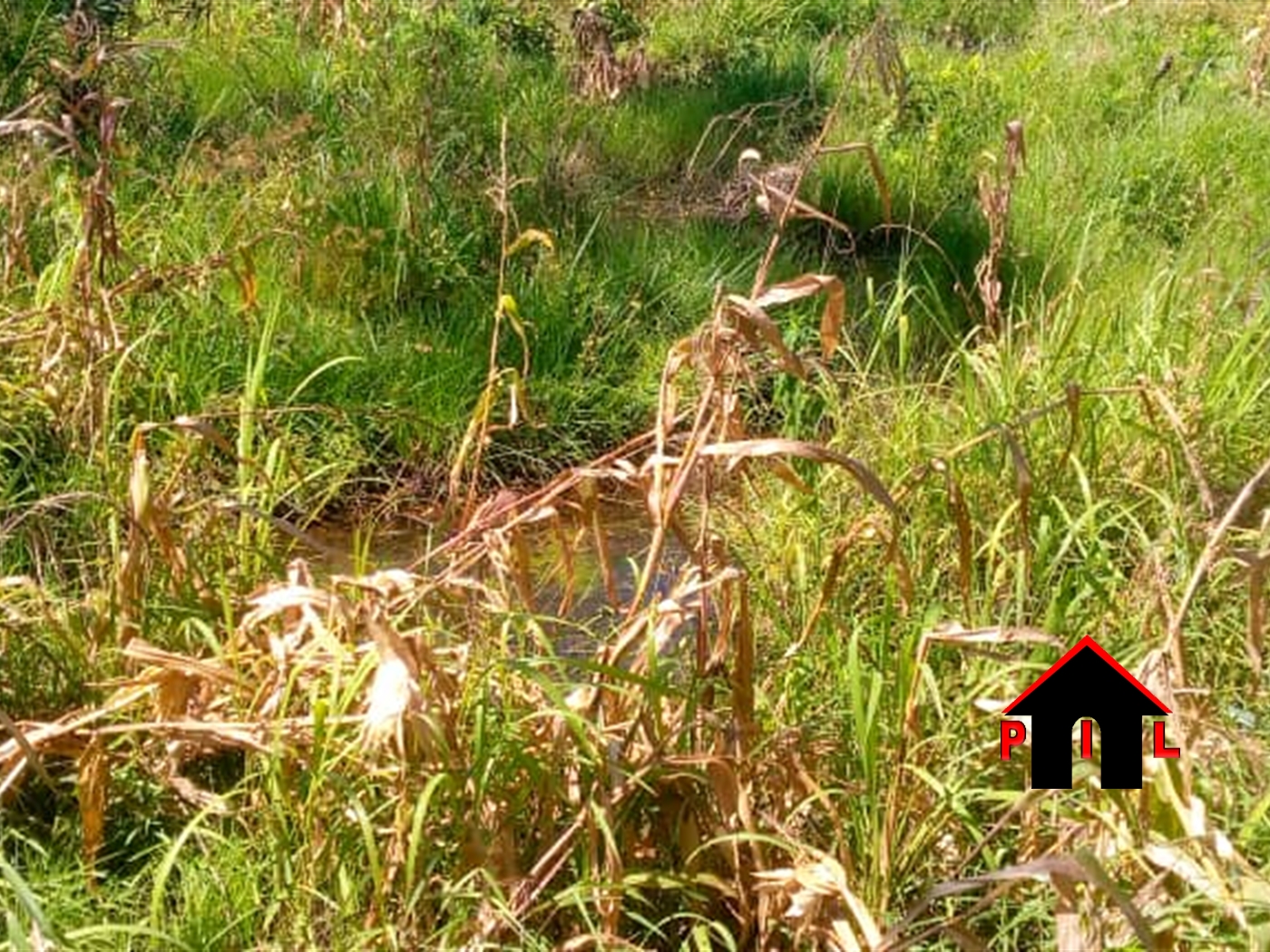 Commercial Land for sale in Kabembe Mukono