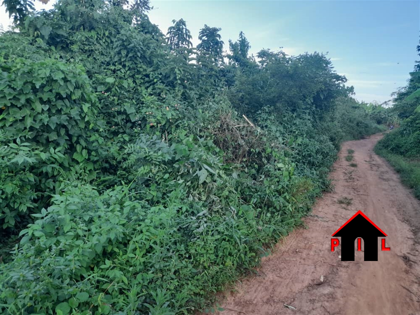 Agricultural Land for sale in Busiika Luweero