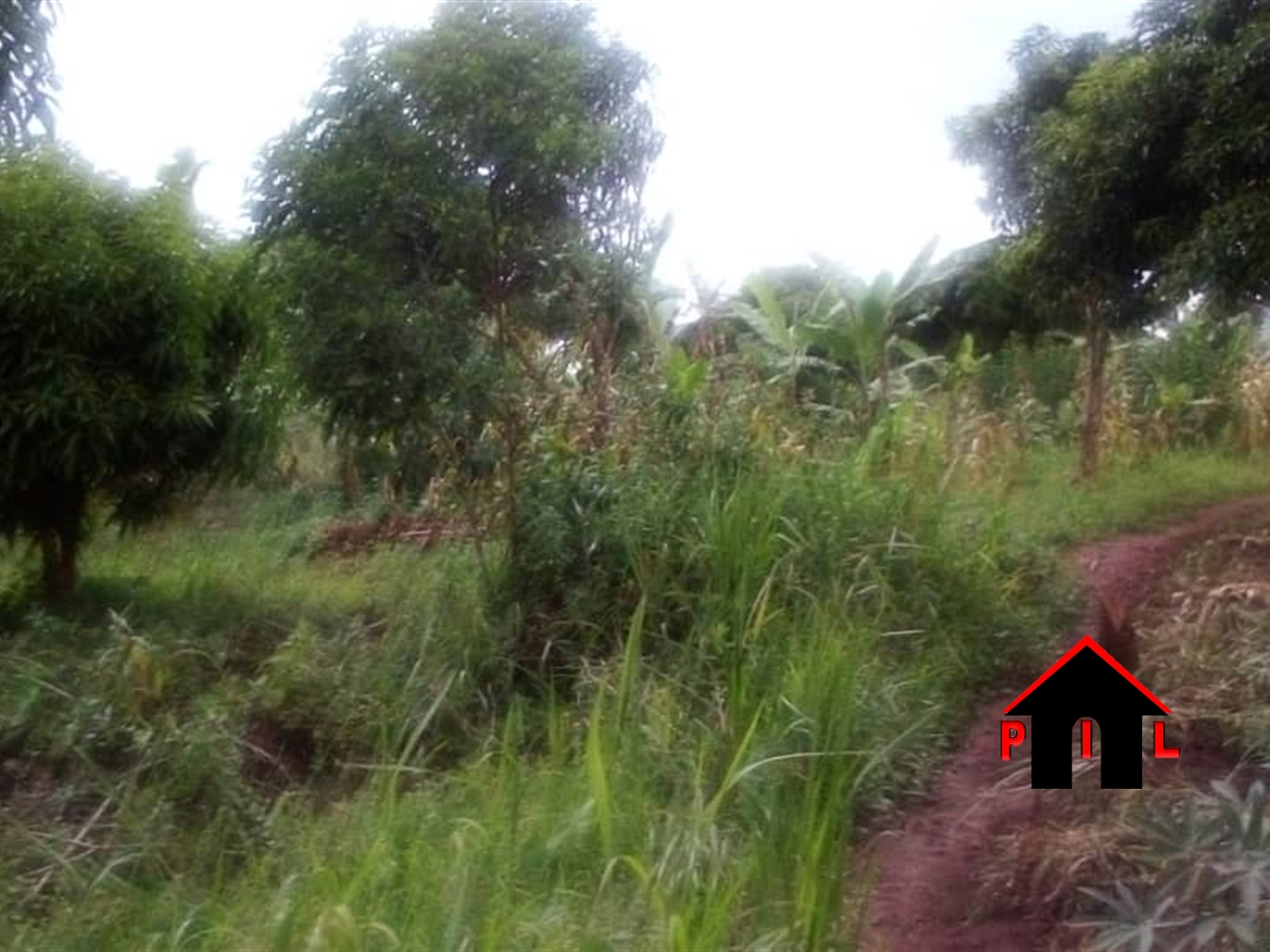 Agricultural Land for sale in Busiika Luweero