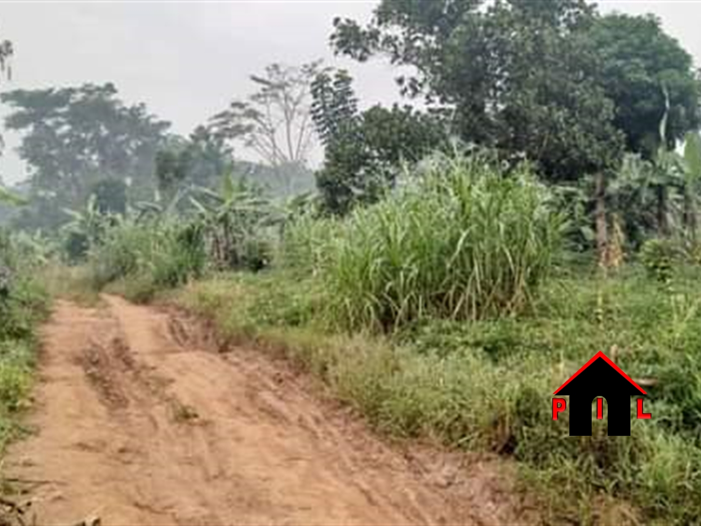 Residential Land for sale in Bukeelele Mukono