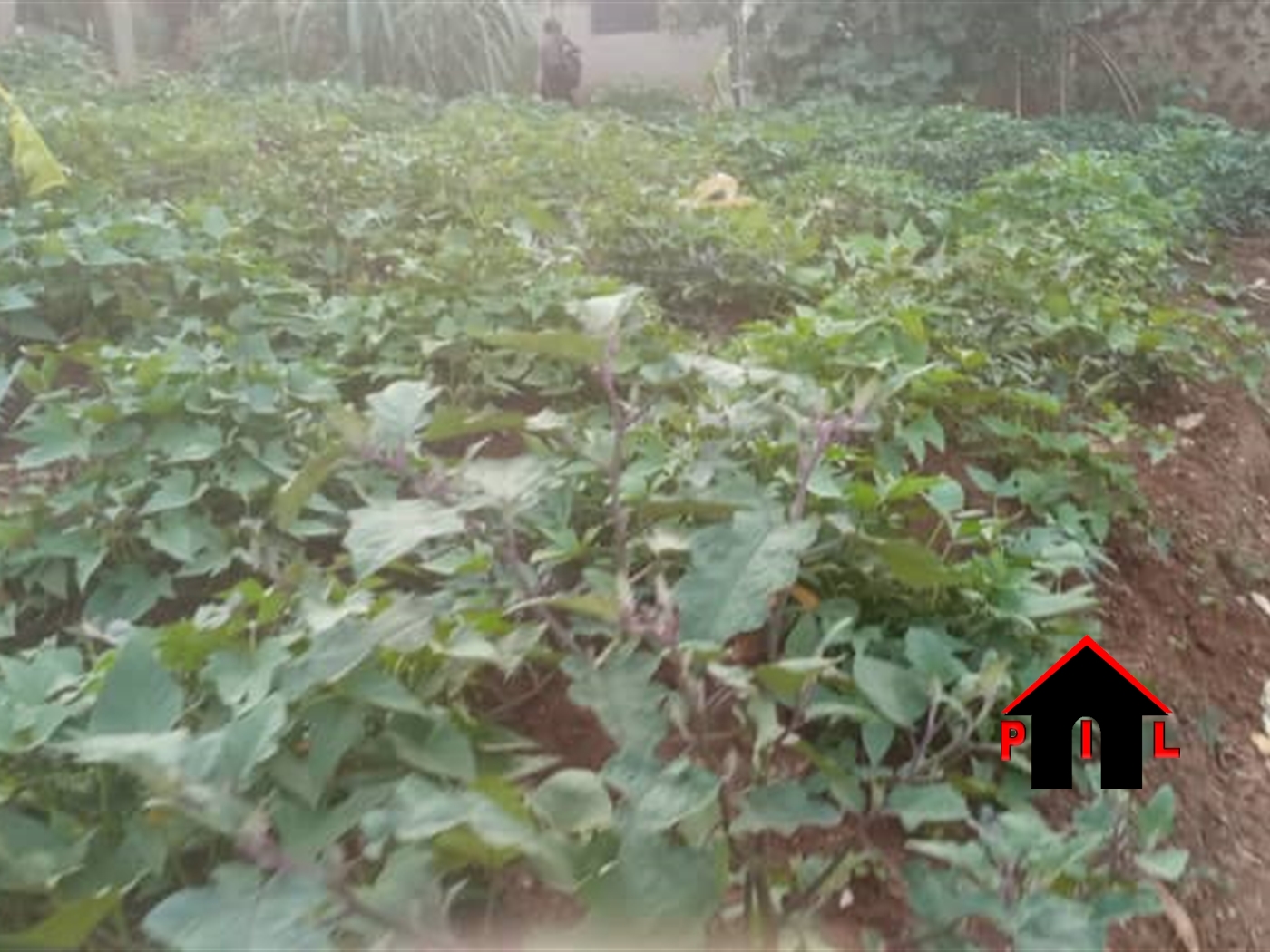 Residential Land for sale in Kira Wakiso