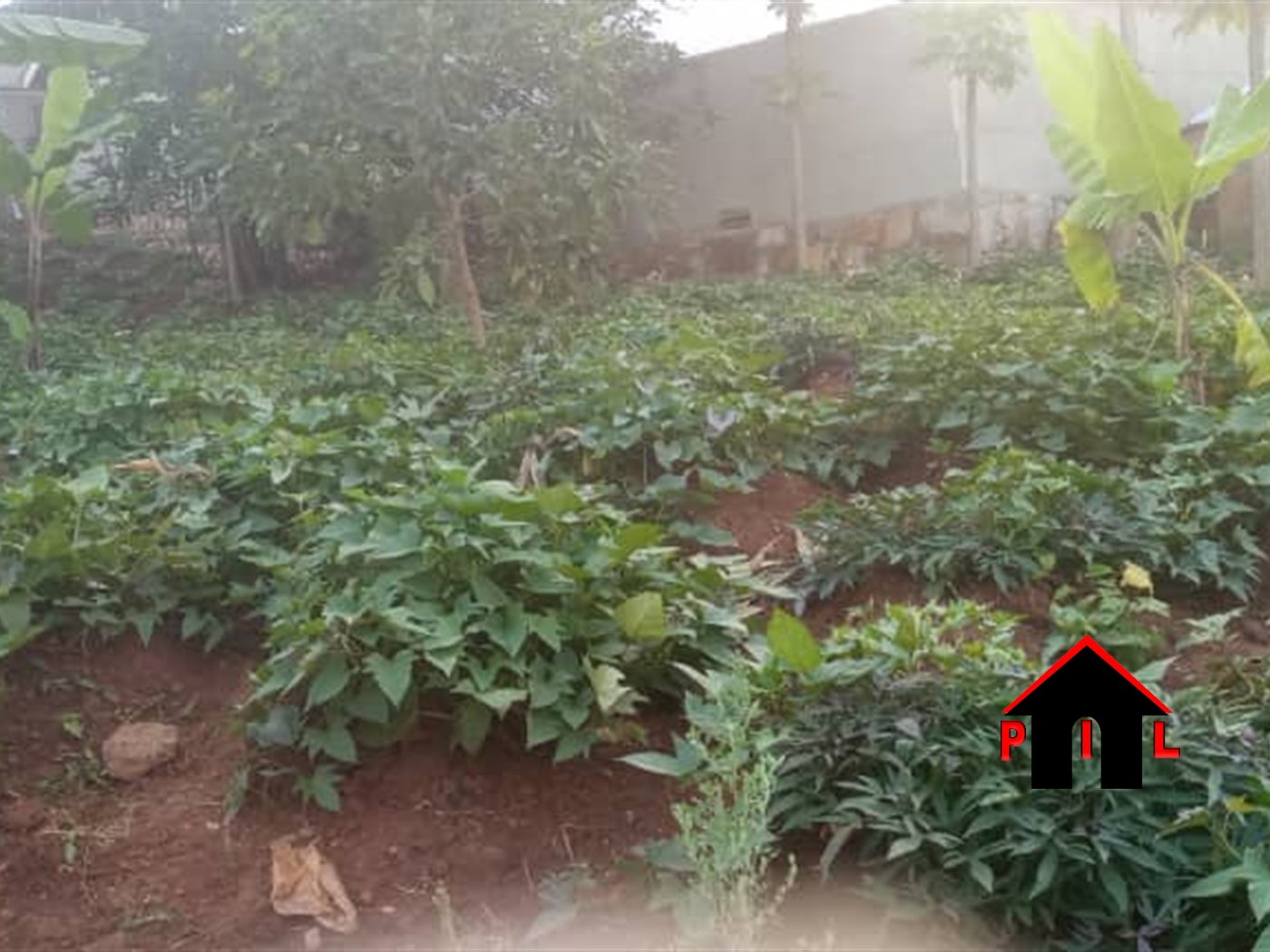 Residential Land for sale in Kira Wakiso