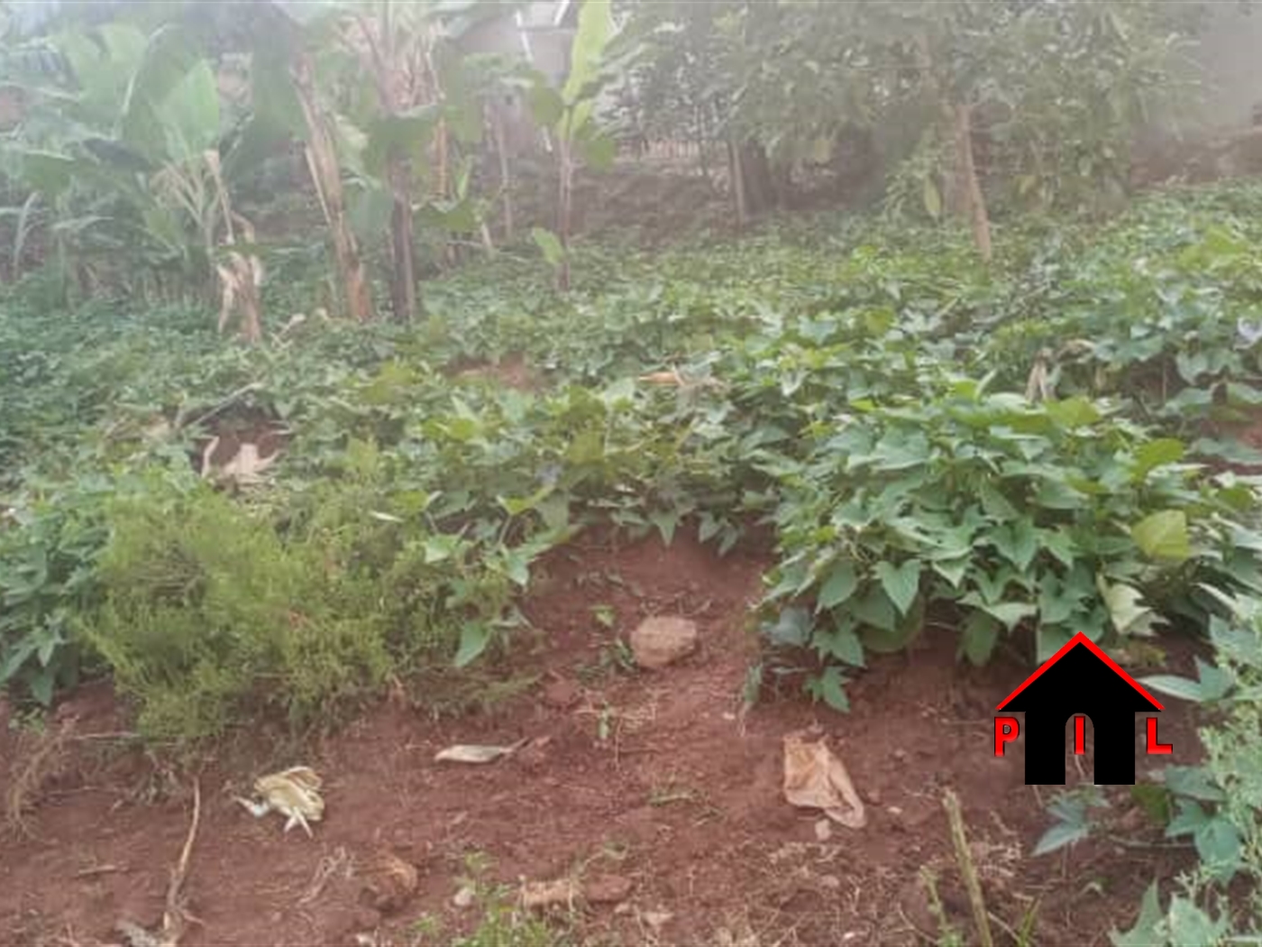 Residential Land for sale in Kira Wakiso