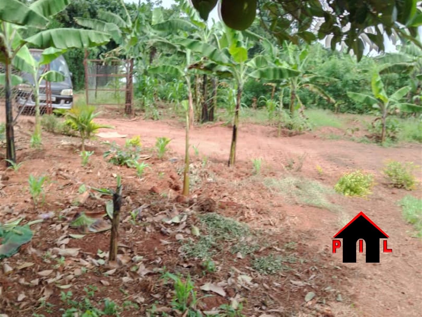 Residential Land for sale in Namulonge Wakiso