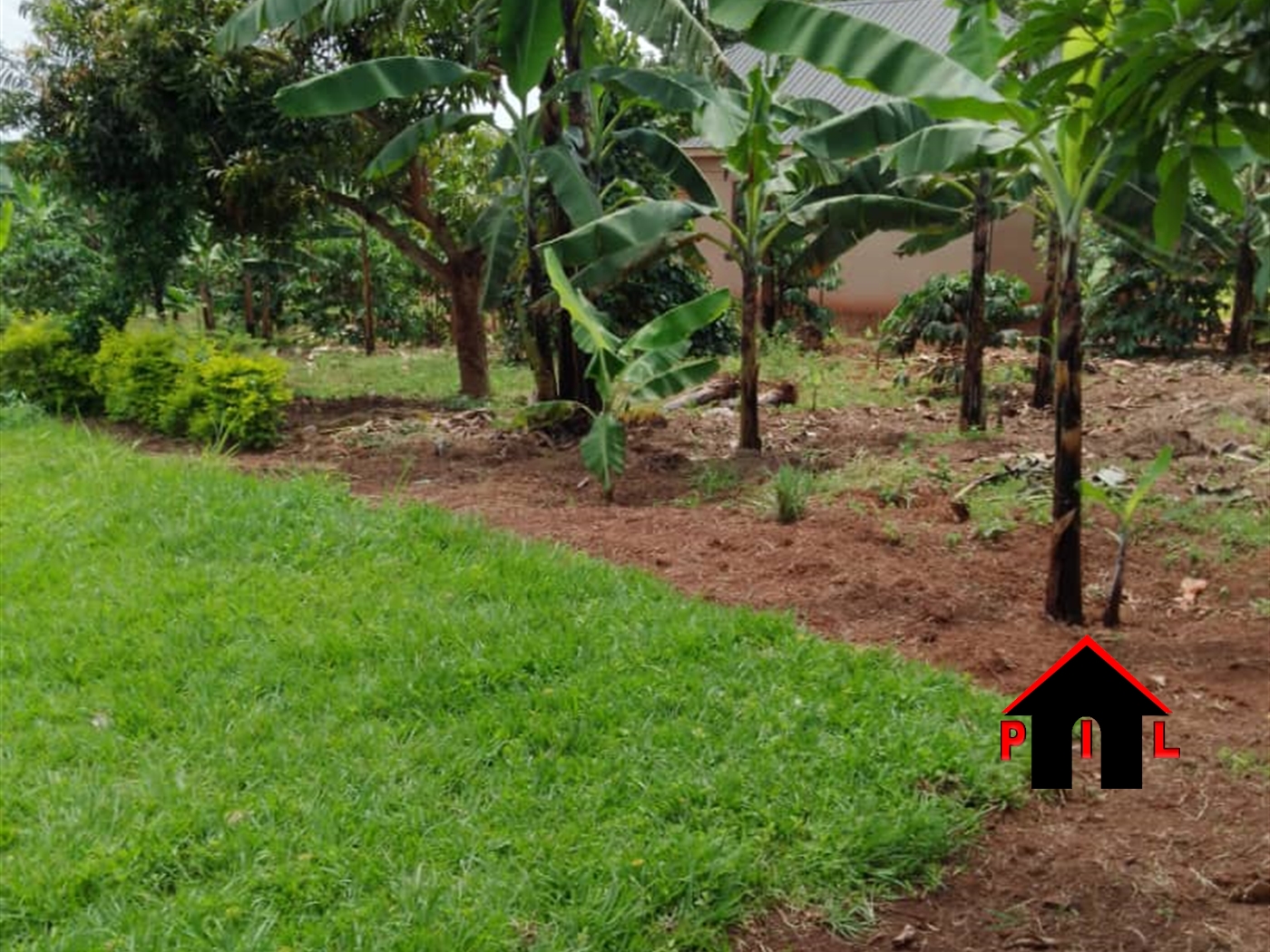 Residential Land for sale in Namulonge Wakiso