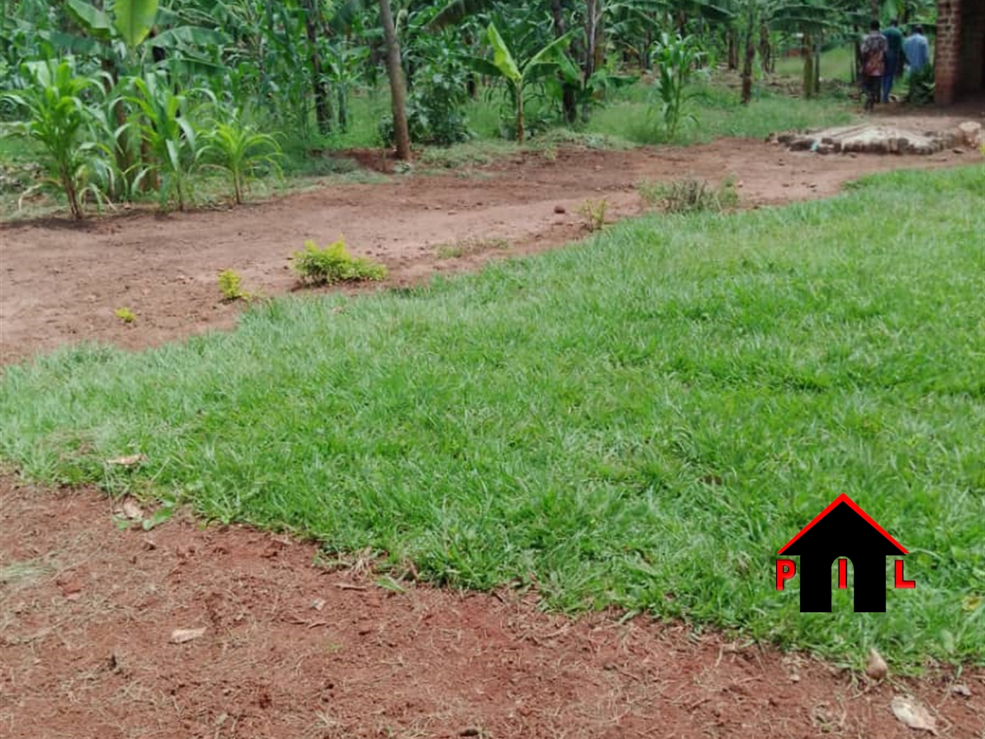 Residential Land for sale in Namulonge Wakiso