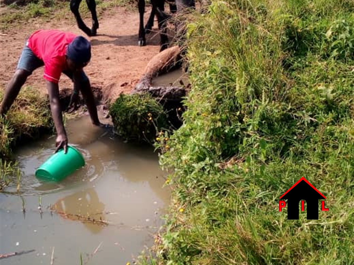 Farm for sale in Rubaare Kyankwazi