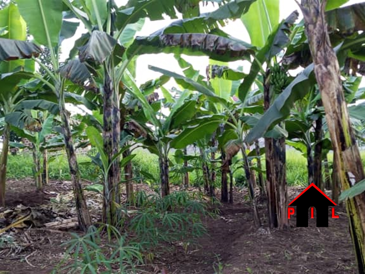 Residential Land for sale in Kiti Wakiso