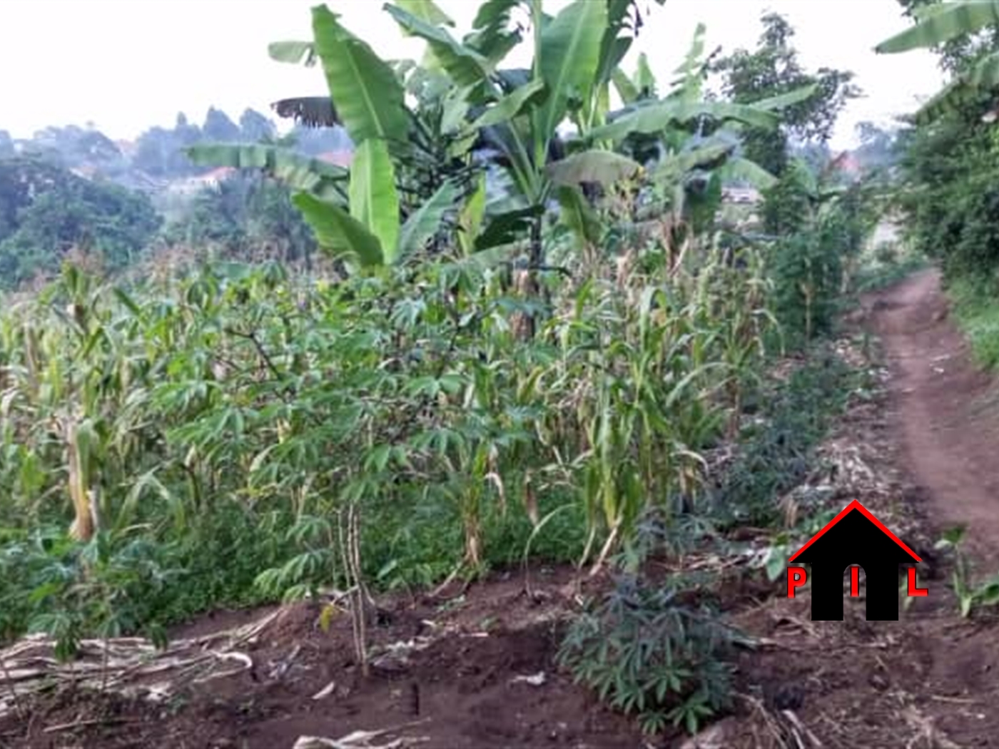 Residential Land for sale in Kiti Wakiso