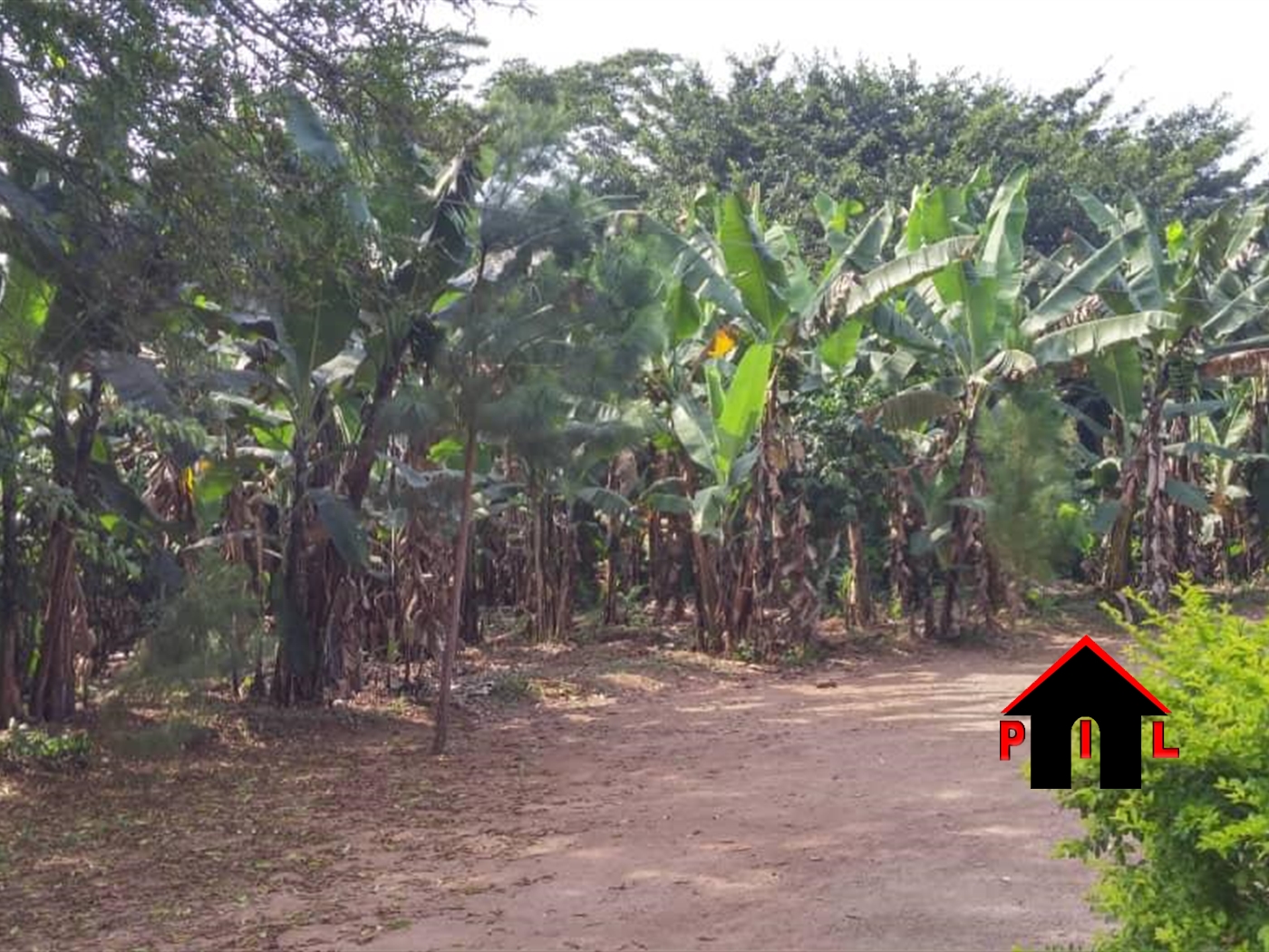 Commercial Land for sale in Buwama Mpigi