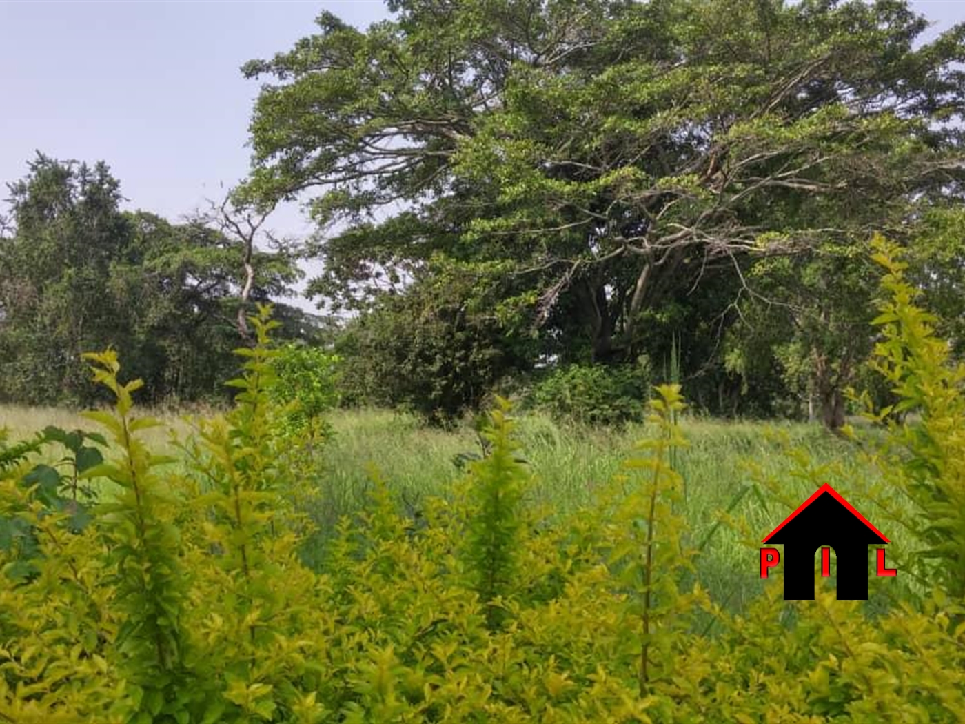 Commercial Land for sale in Buwama Mpigi