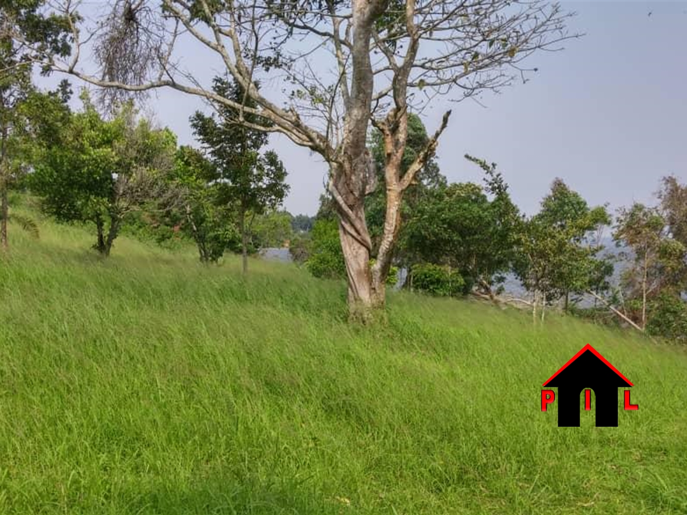 Commercial Land for sale in Buwama Mpigi