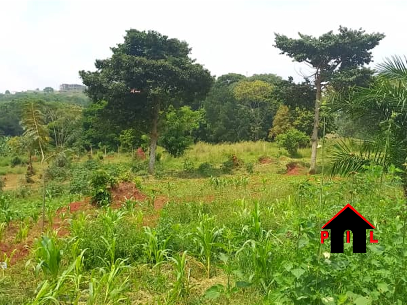 Commercial Land for sale in Kigo Wakiso