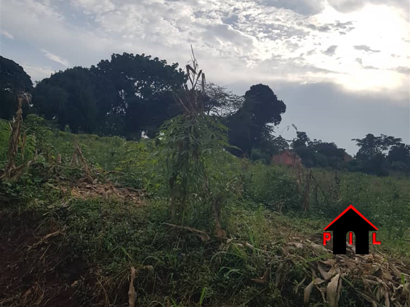 Residential Land for sale in Nyanja Wakiso