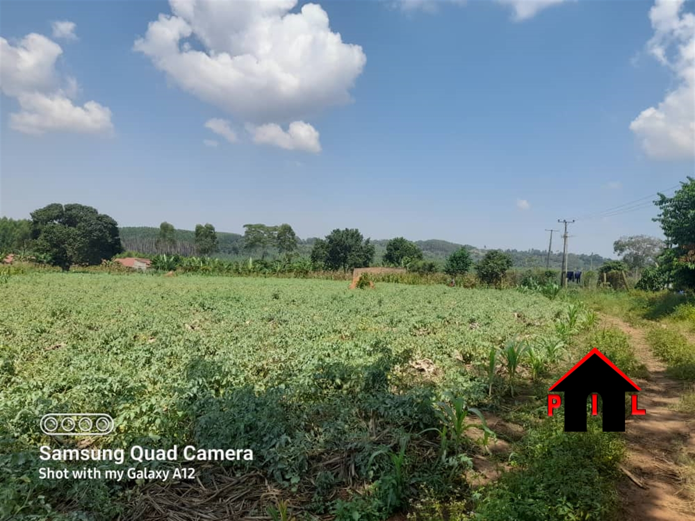 Agricultural Land for sale in Mpoma Mukono