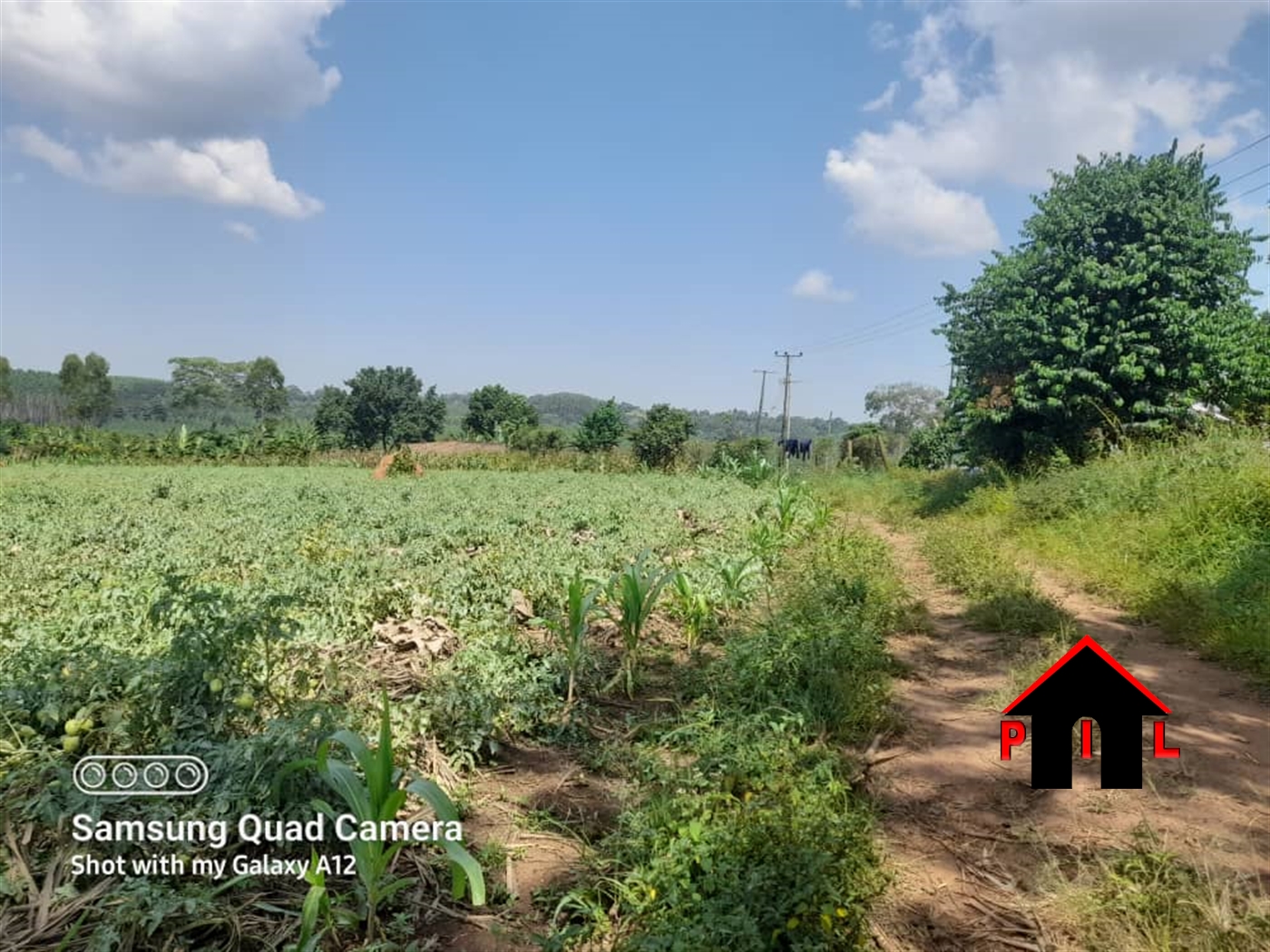 Agricultural Land for sale in Mpoma Mukono