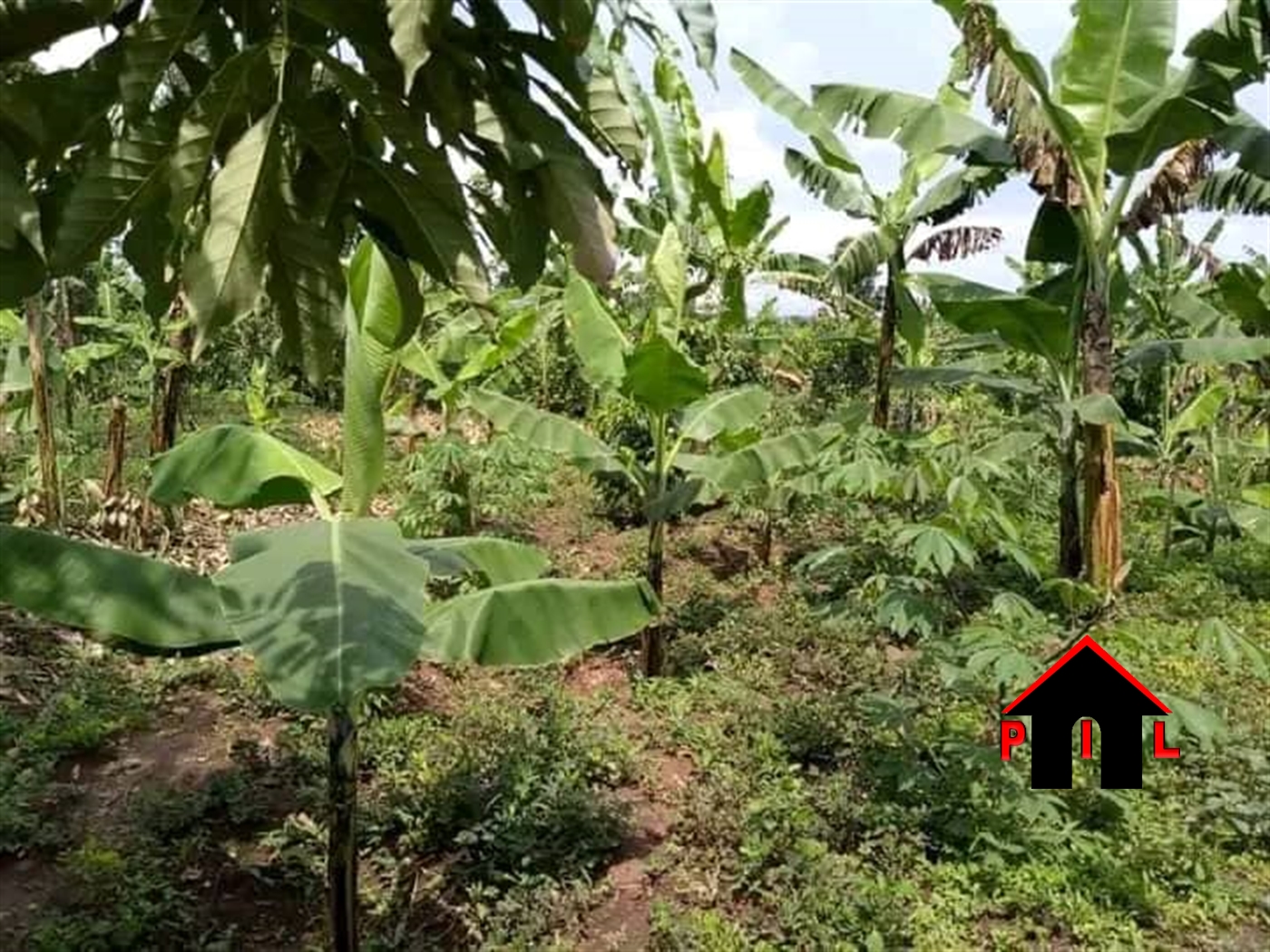 Residential Land for sale in Kakiri Wakiso