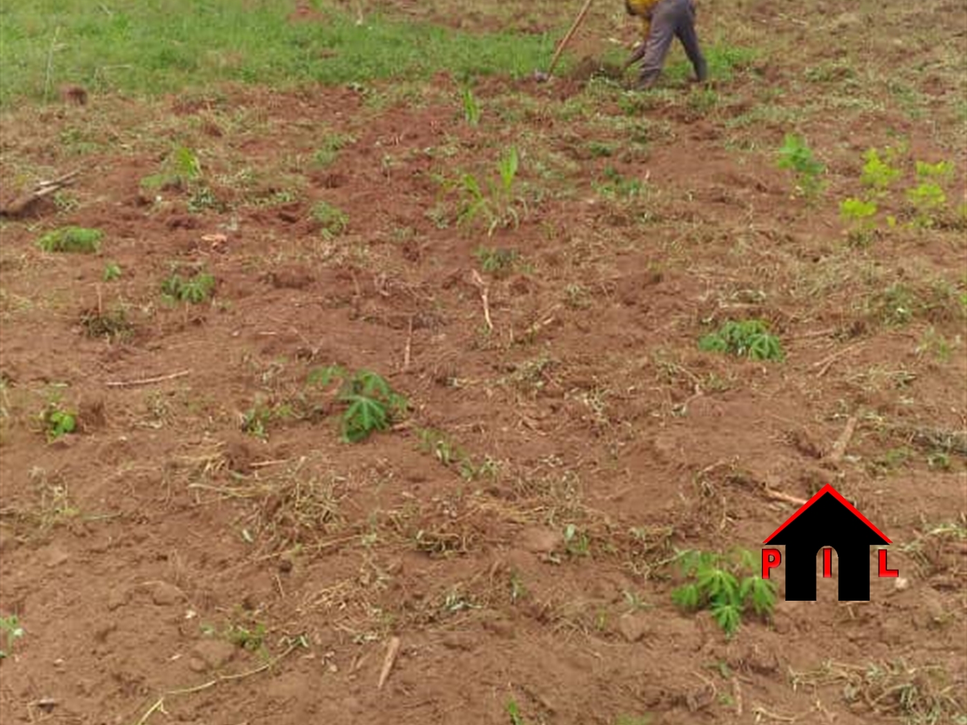 Residential Land for sale in Kiwenda Wakiso