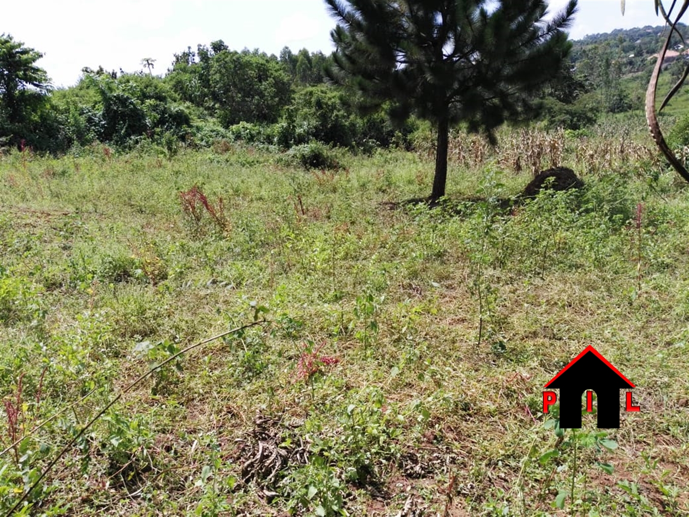 Residential Land for sale in Gayaza Wakiso