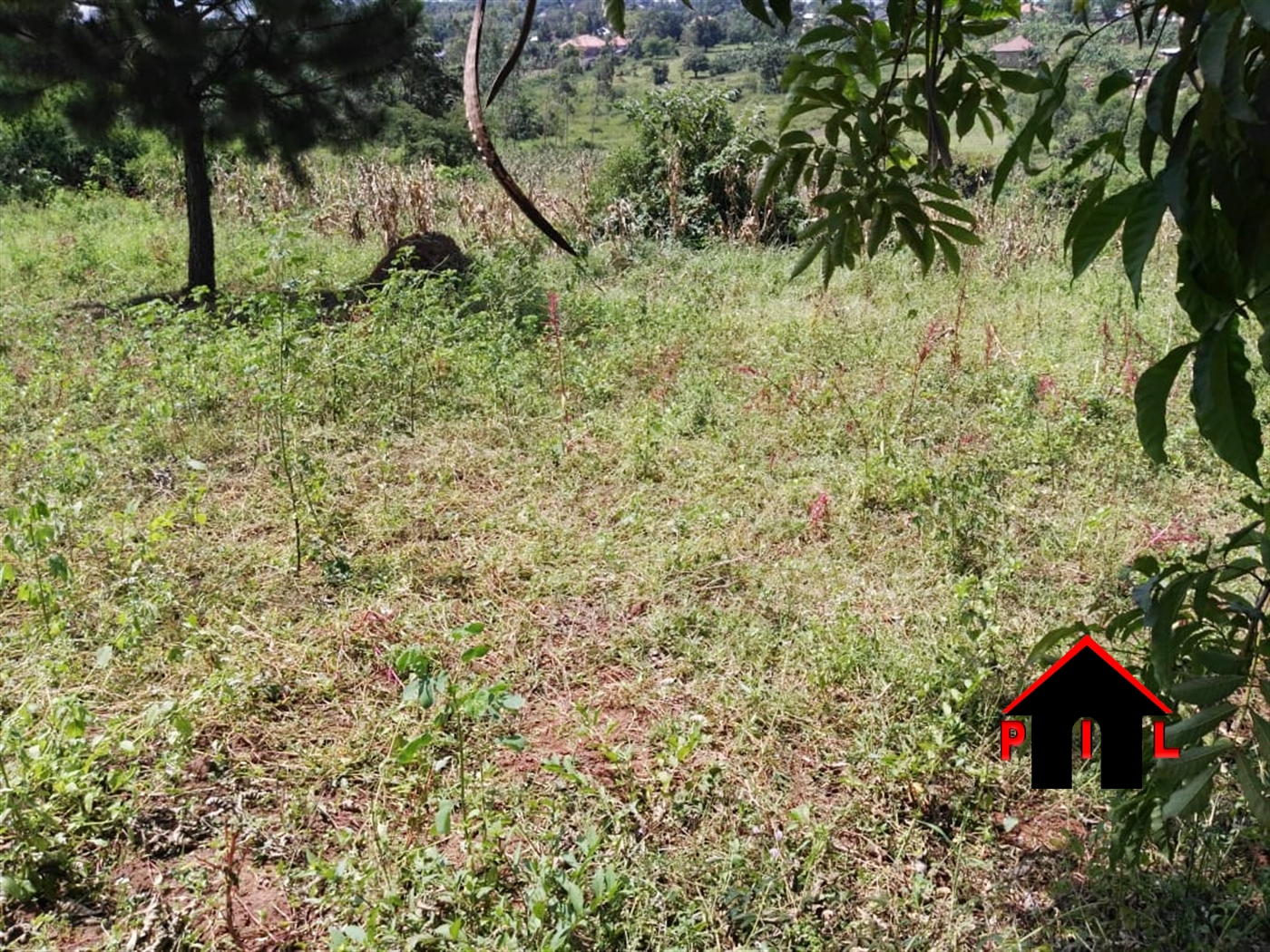 Residential Land for sale in Gayaza Wakiso