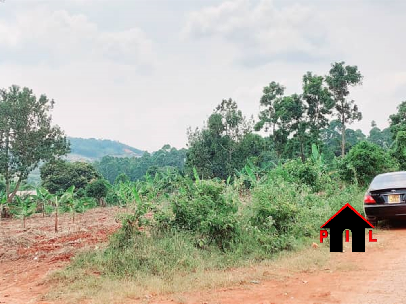 Commercial Land for sale in Namusela Wakiso