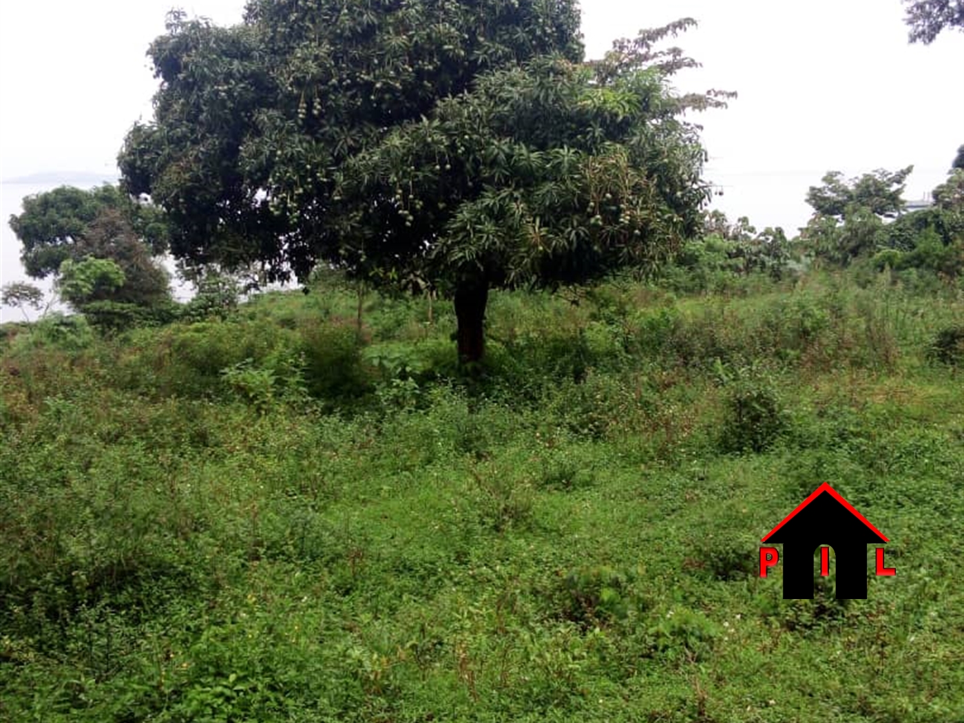 Commercial Land for sale in Garuga Wakiso