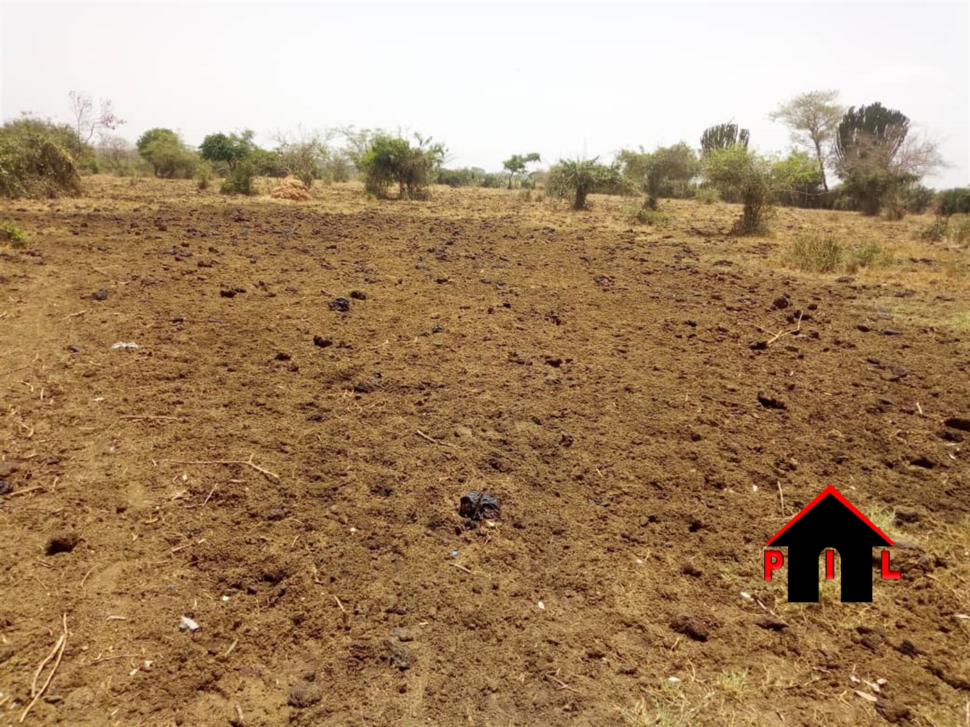 Farm for sale in Mwolwe Nakasongola