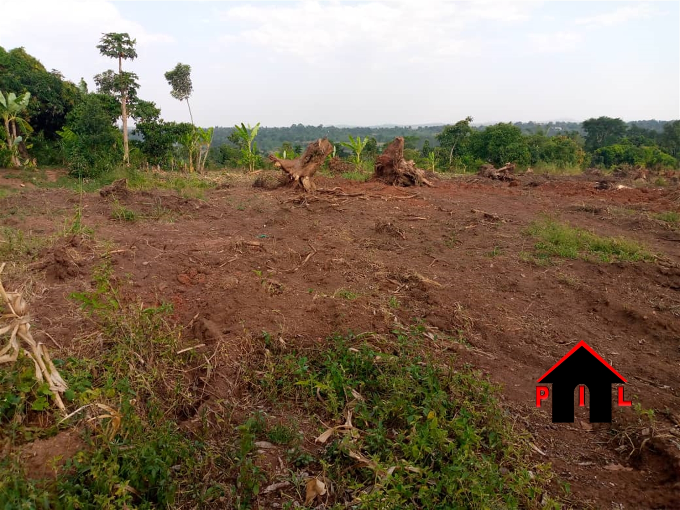 Agricultural Land for sale in Kamuganja Rakai