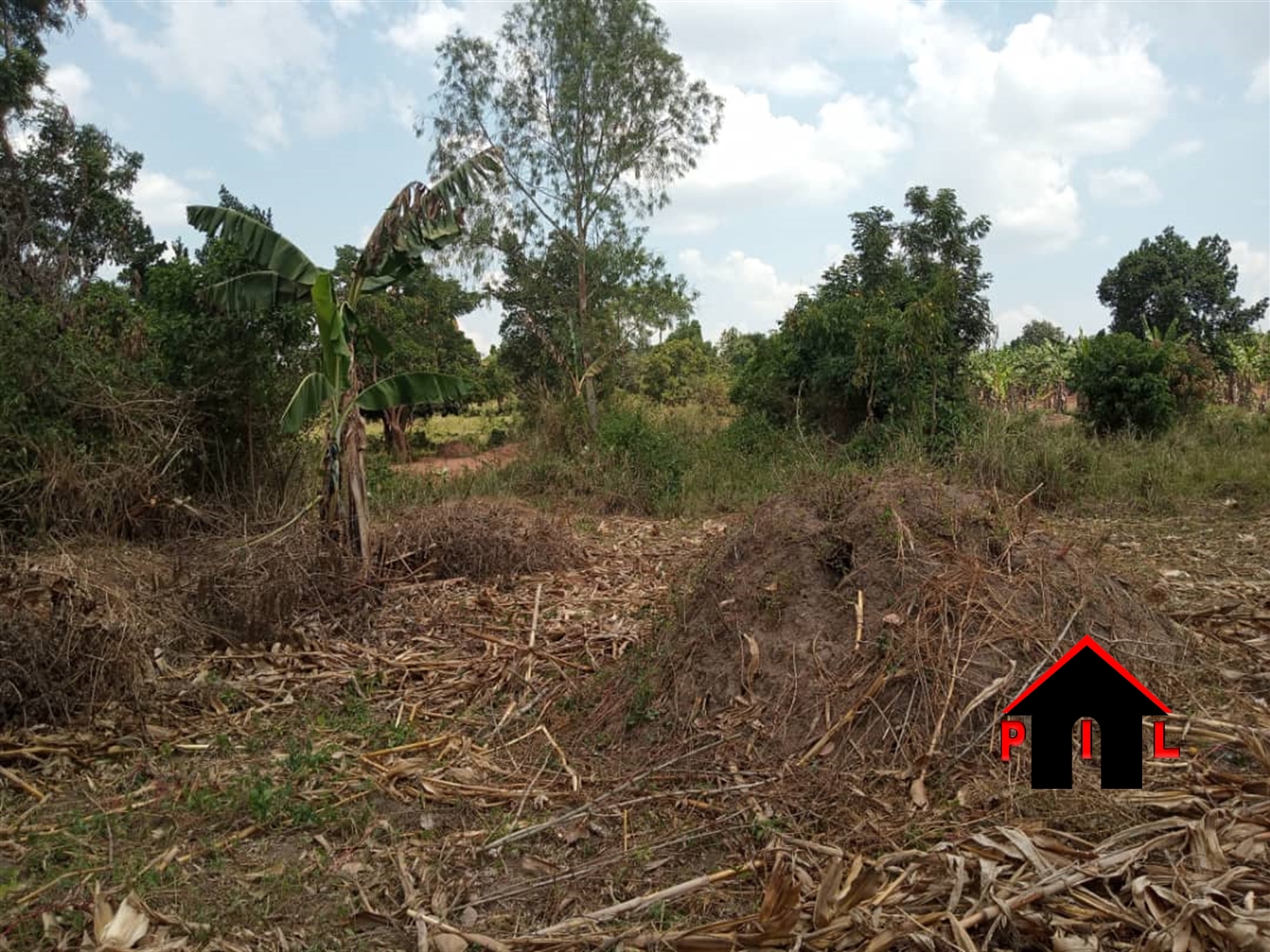 Commercial Land for sale in Ziloobwe Luweero