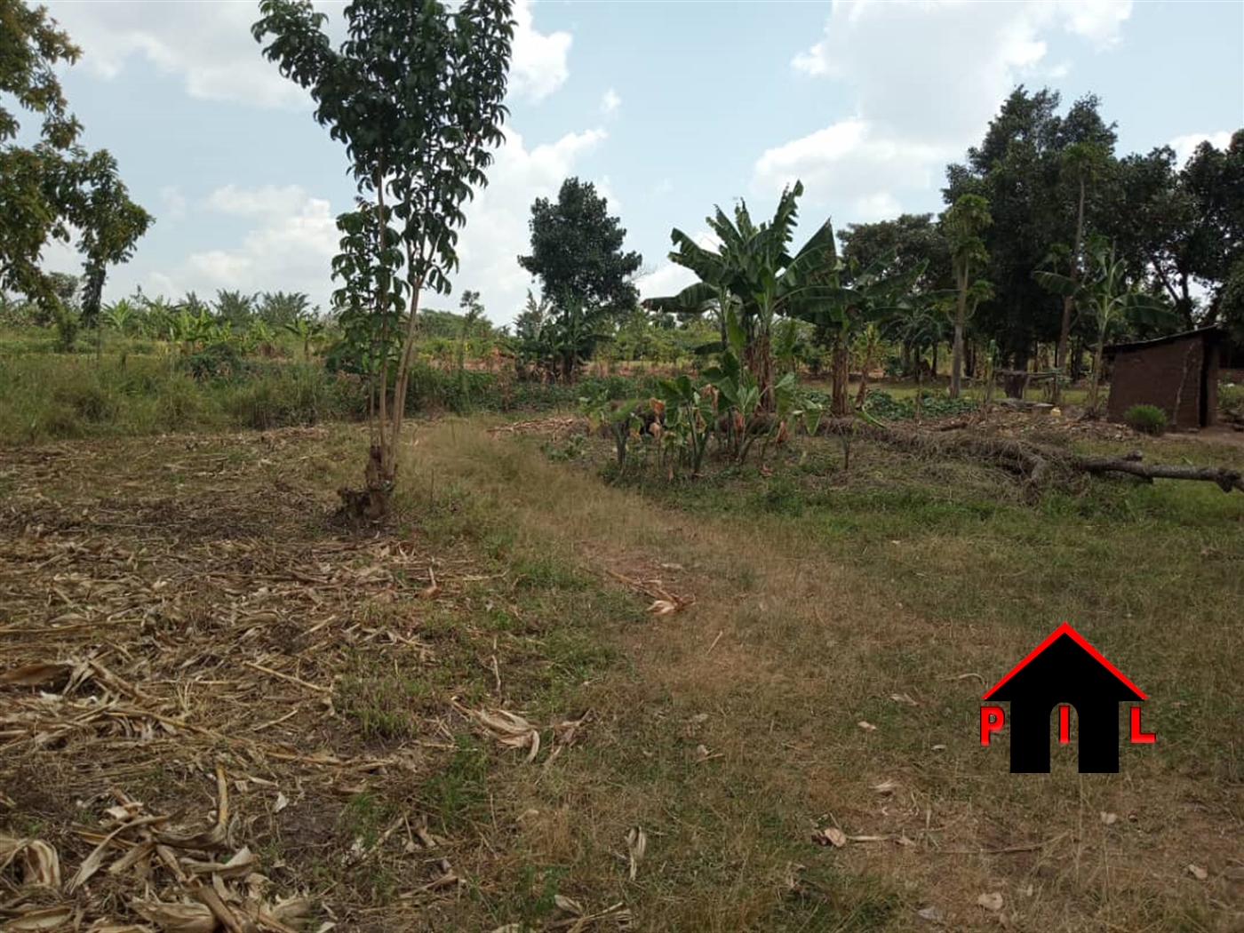 Commercial Land for sale in Ziloobwe Luweero