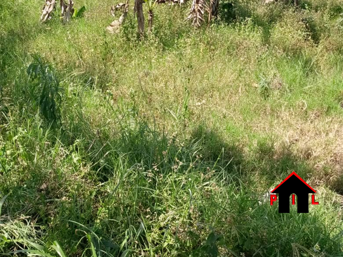 Agricultural Land for sale in Nazareth Wakiso