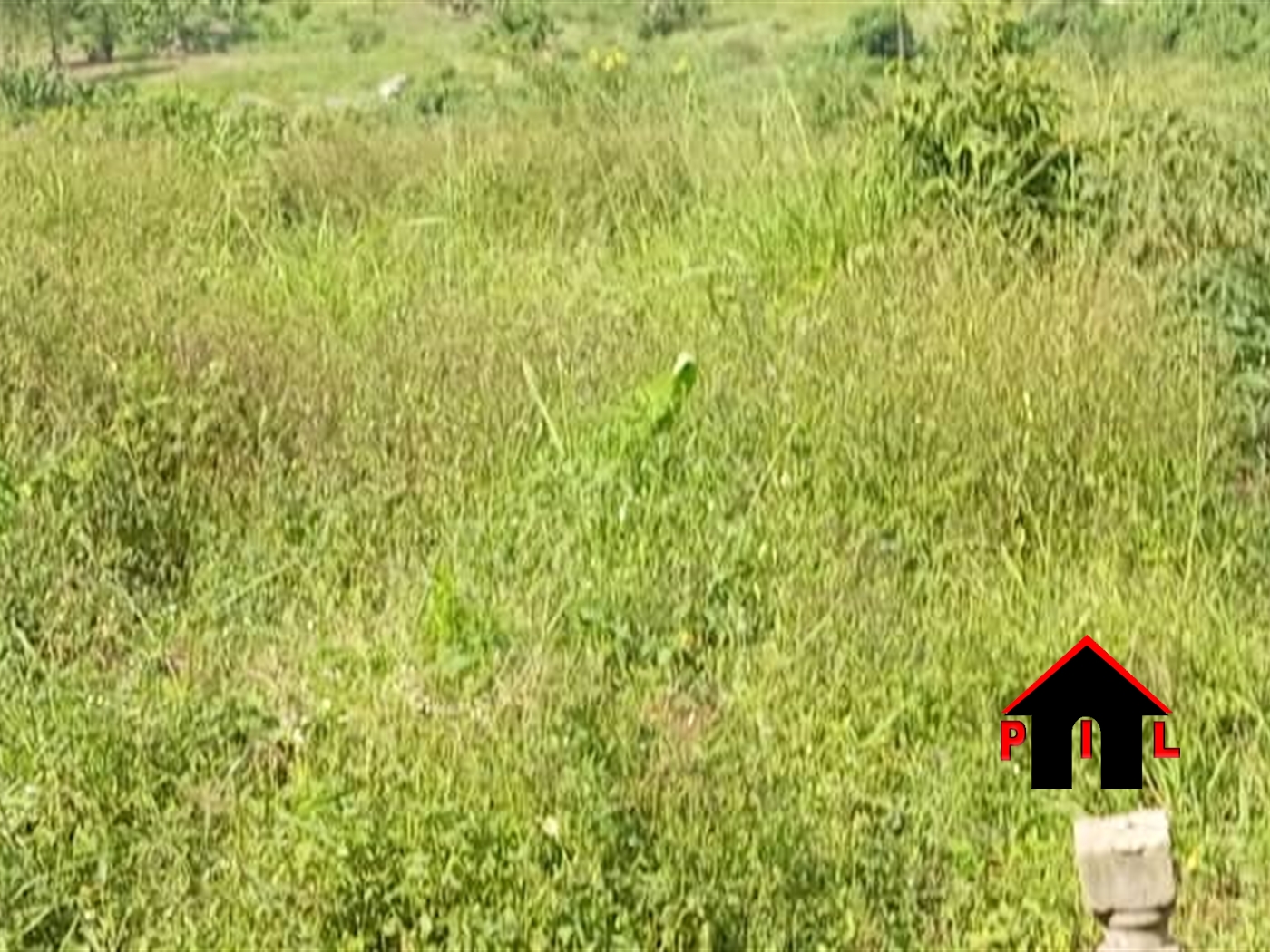 Residential Land for sale in Kavule Wakiso