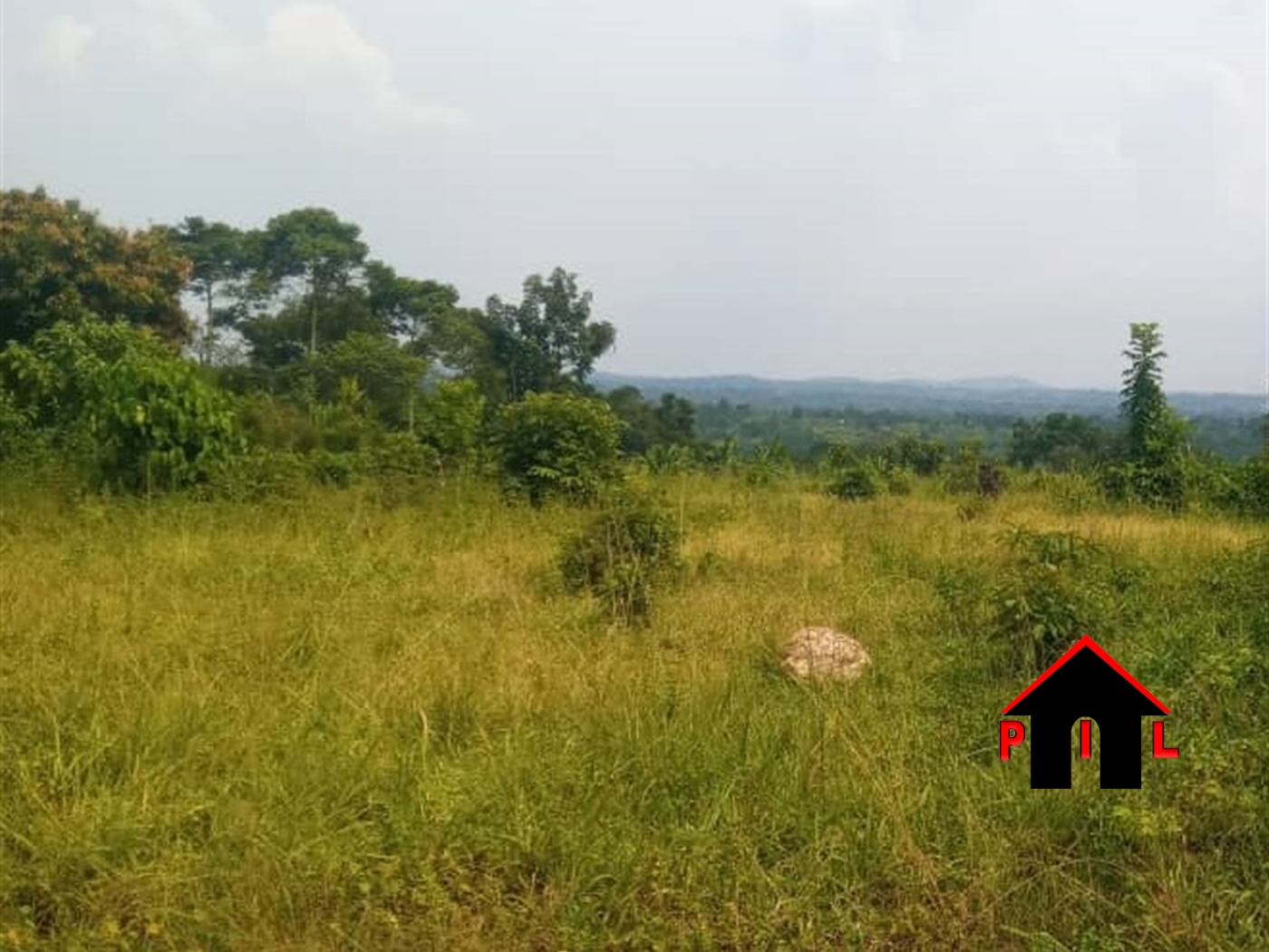 Commercial Land for sale in Kiwenda Wakiso