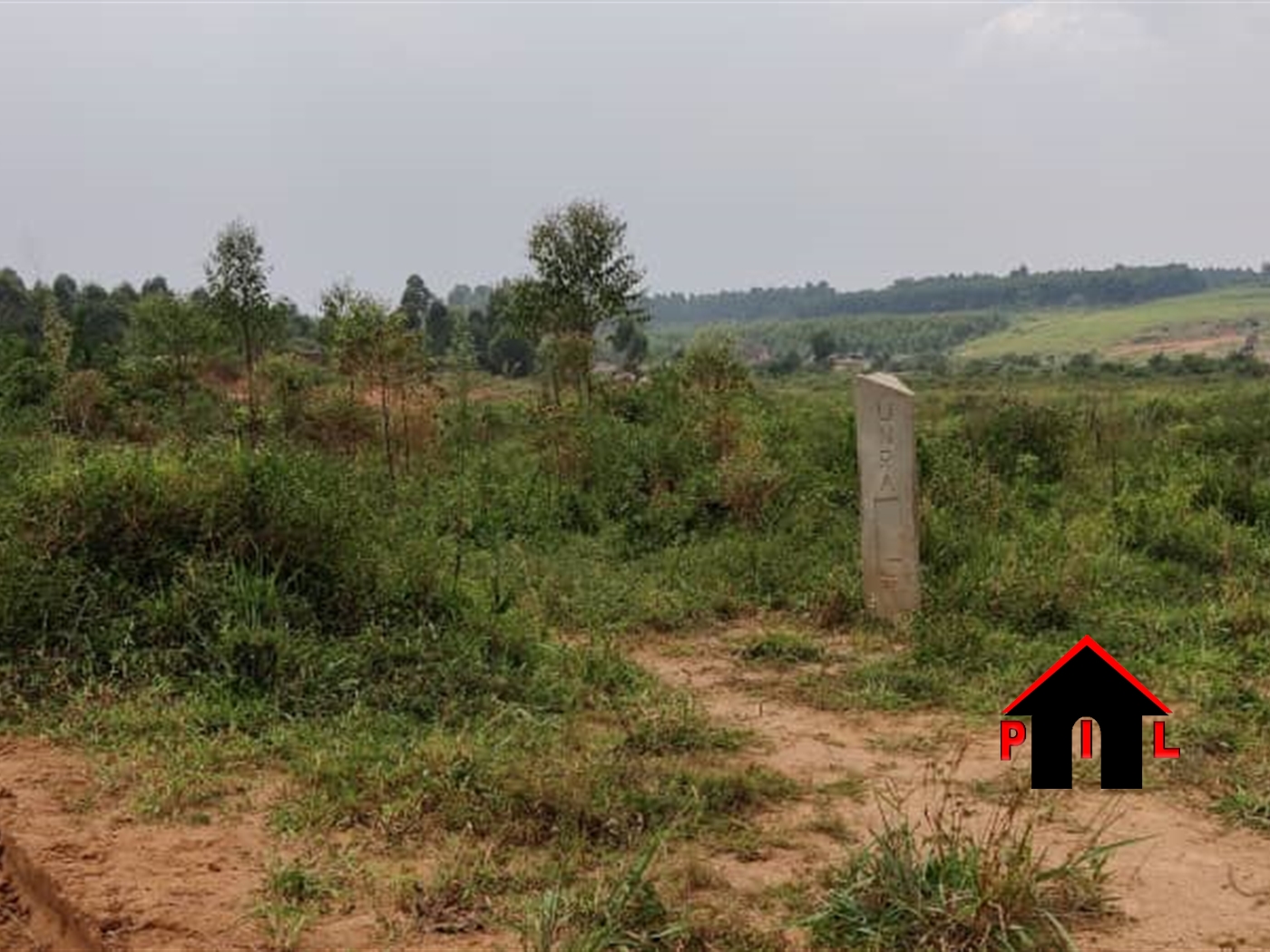 Commercial Land for sale in Namilyango Mukono