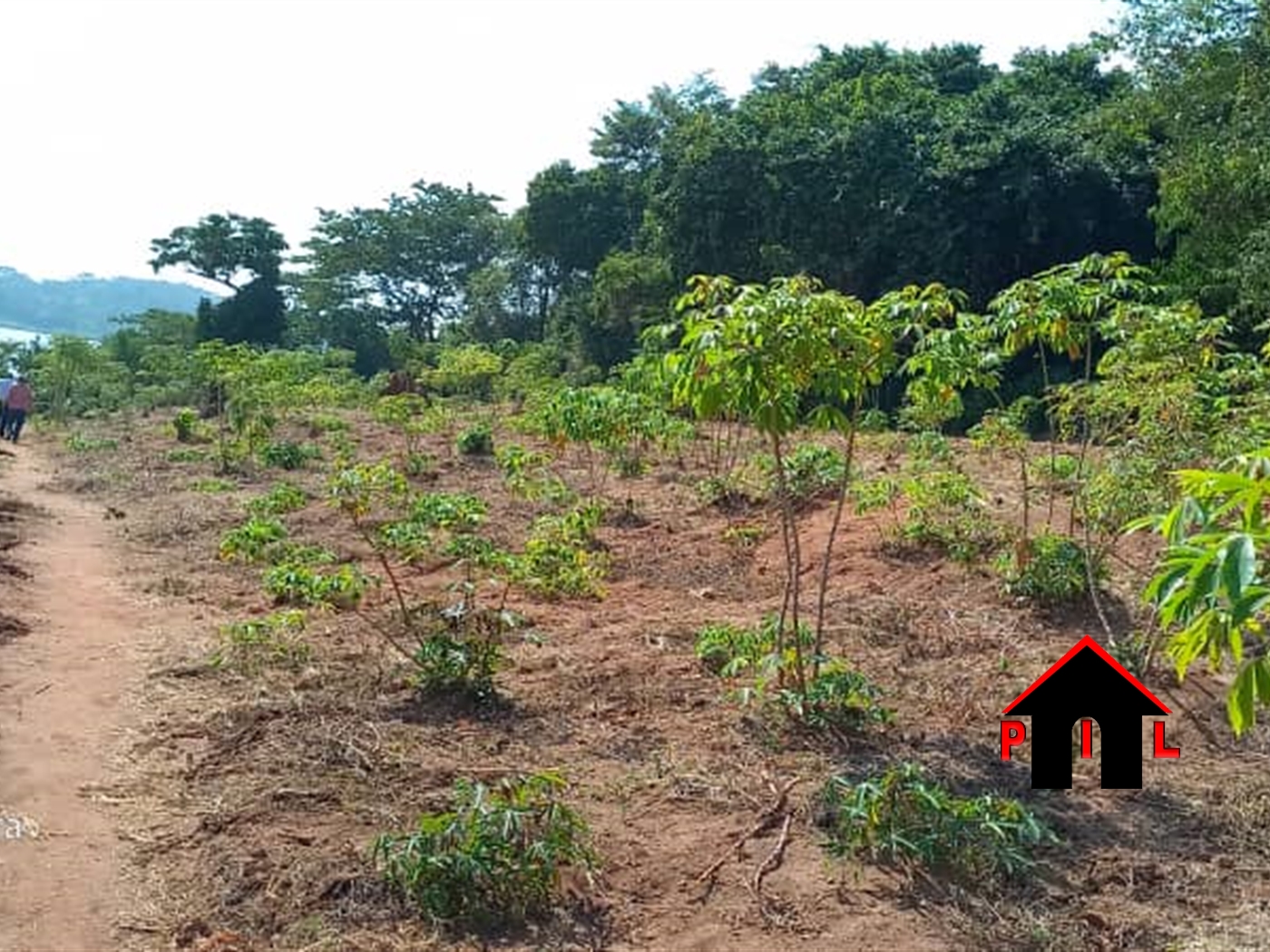 Commercial Land for sale in Kaazi Wakiso